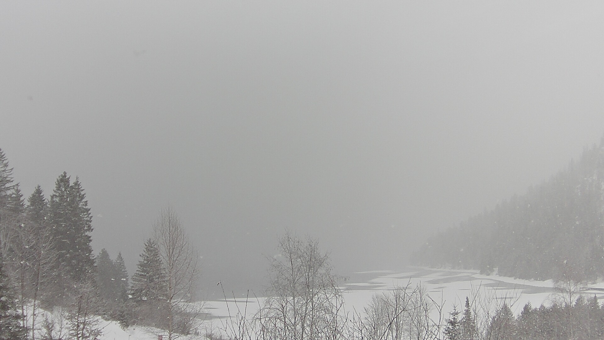 Archiv Foto Webcam Plansee Seespitze