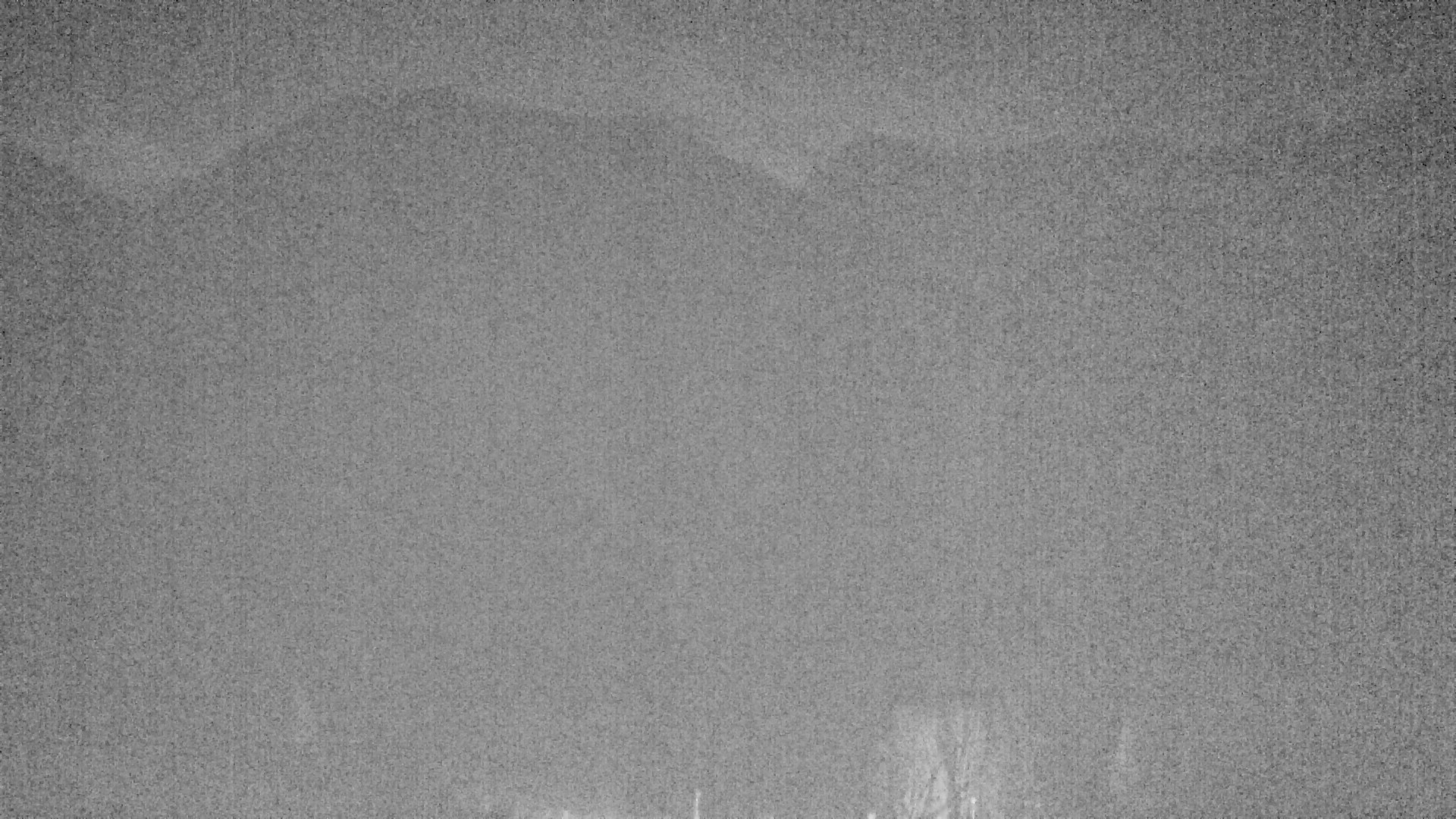 Archiv Foto Webcam Plansee Seespitze