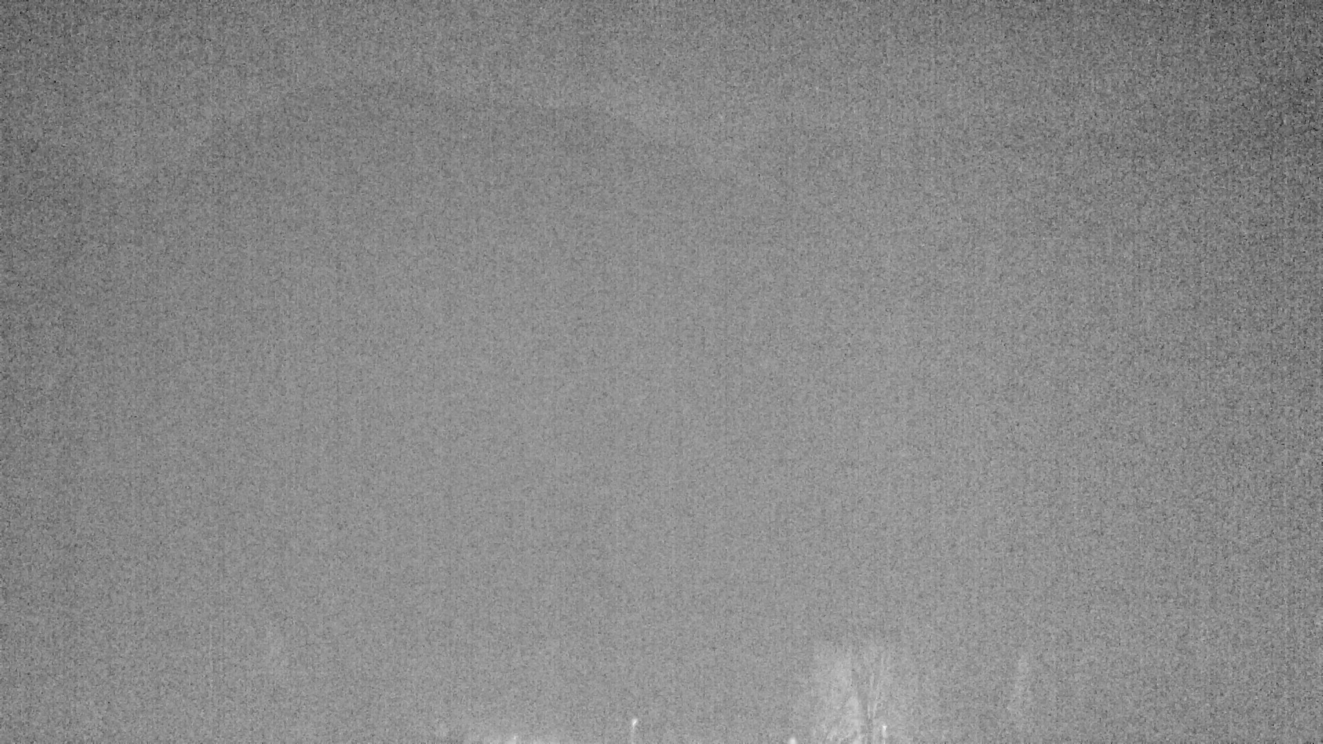 Archiv Foto Webcam Plansee Seespitze