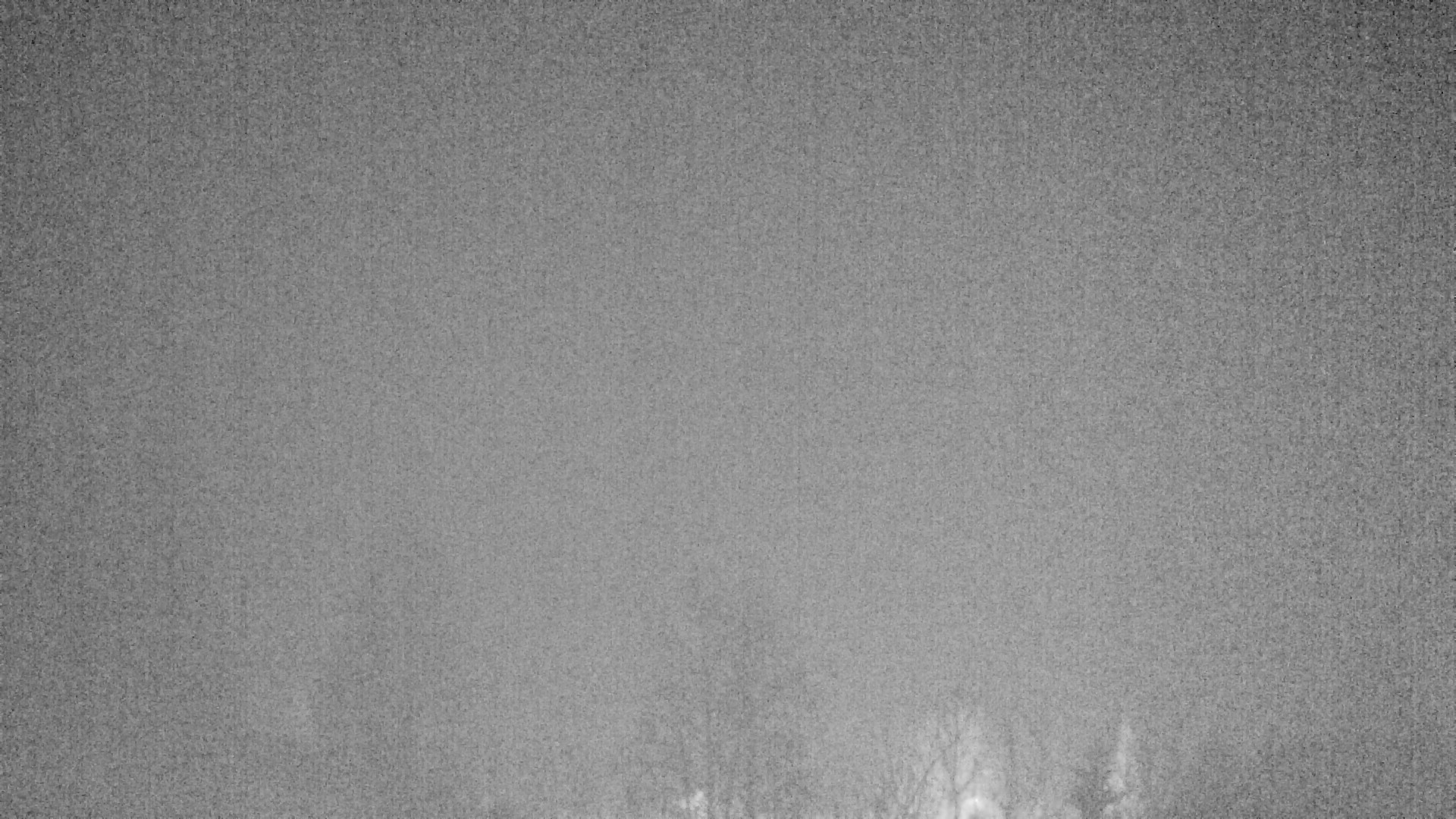 Archiv Foto Webcam Plansee Seespitze