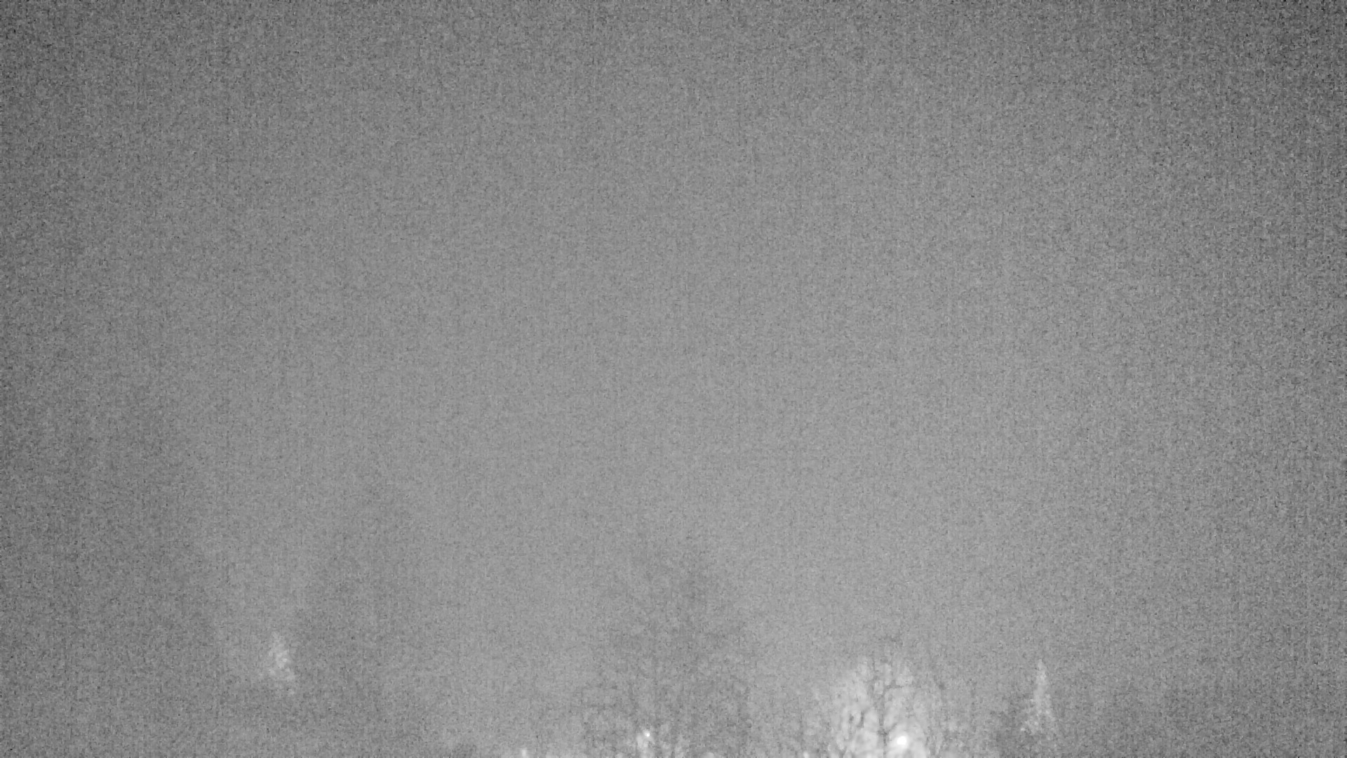 Archiv Foto Webcam Plansee Seespitze