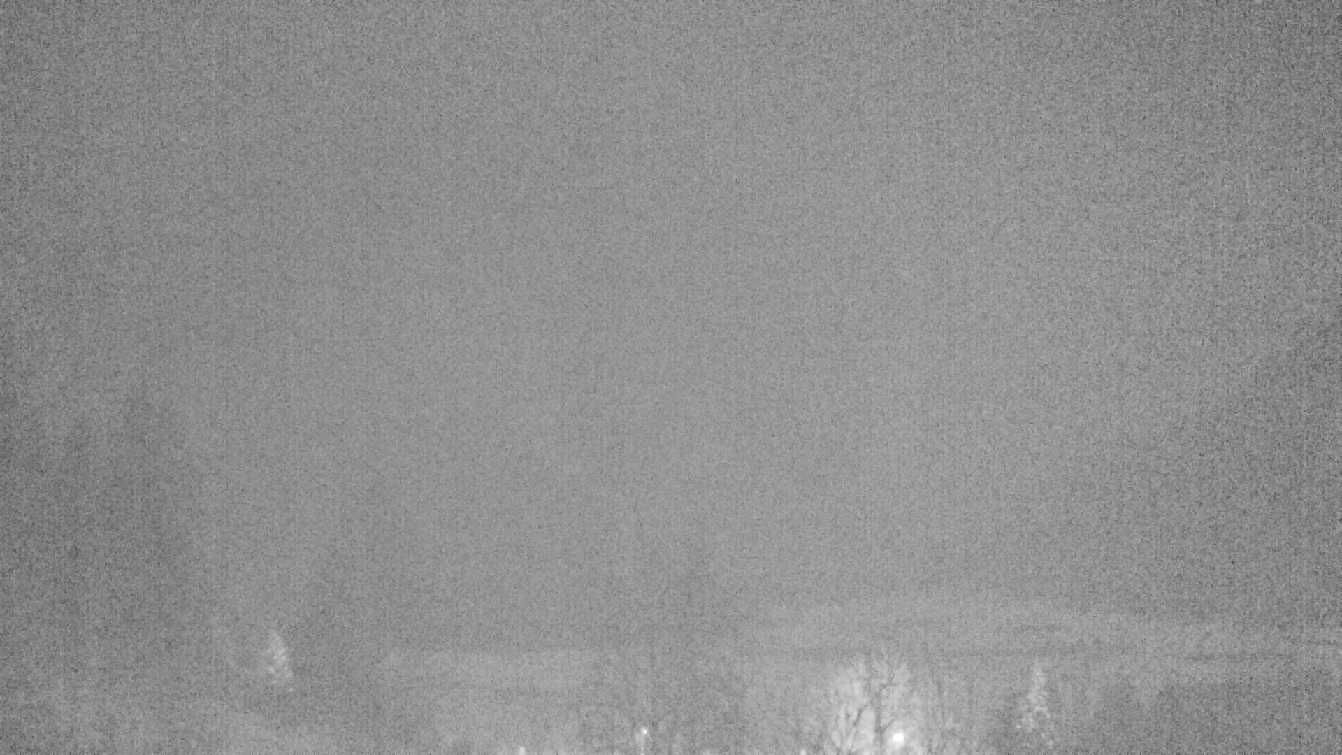 Archiv Foto Webcam Plansee Seespitze