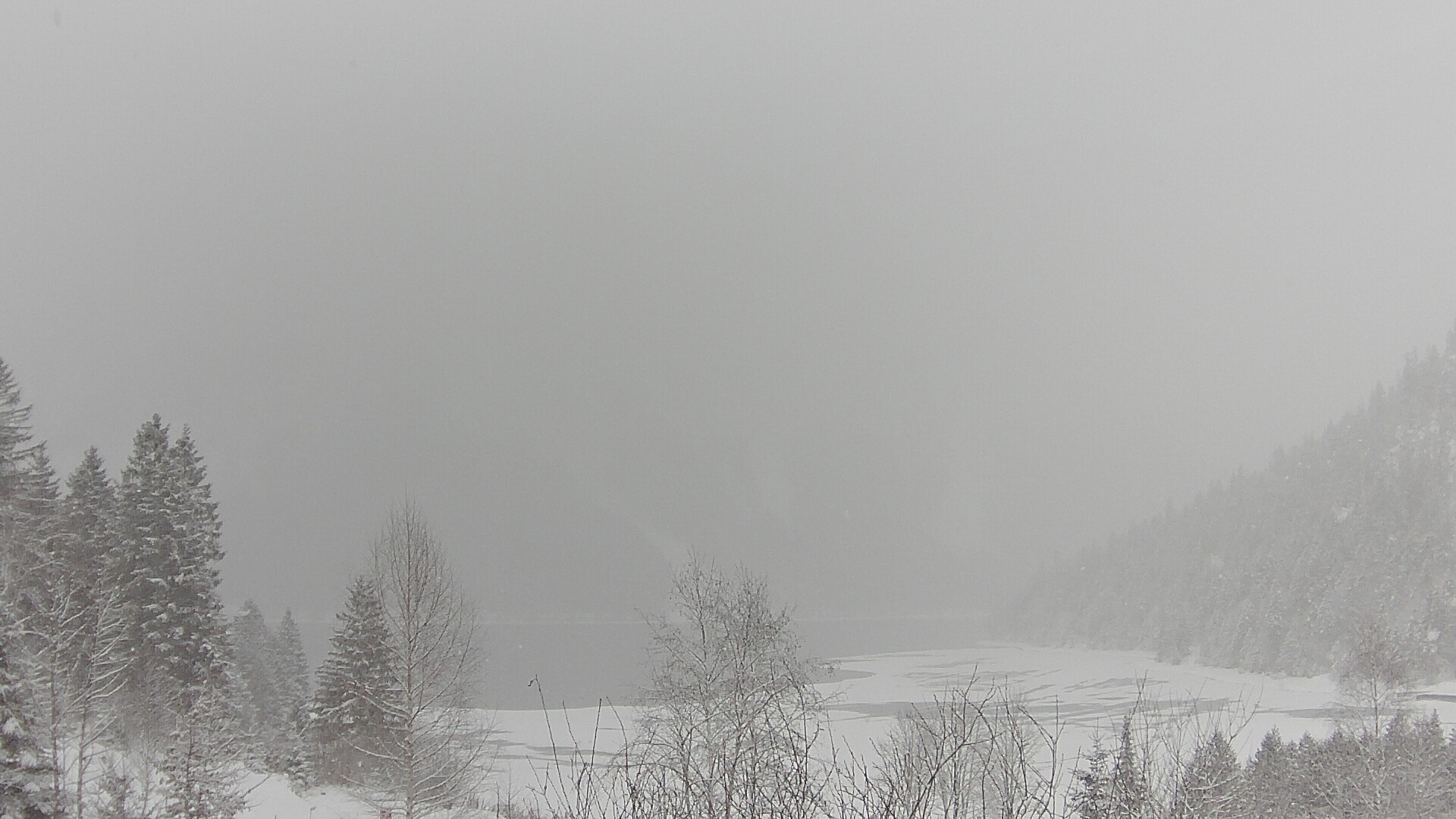 Archiv Foto Webcam Plansee Seespitze