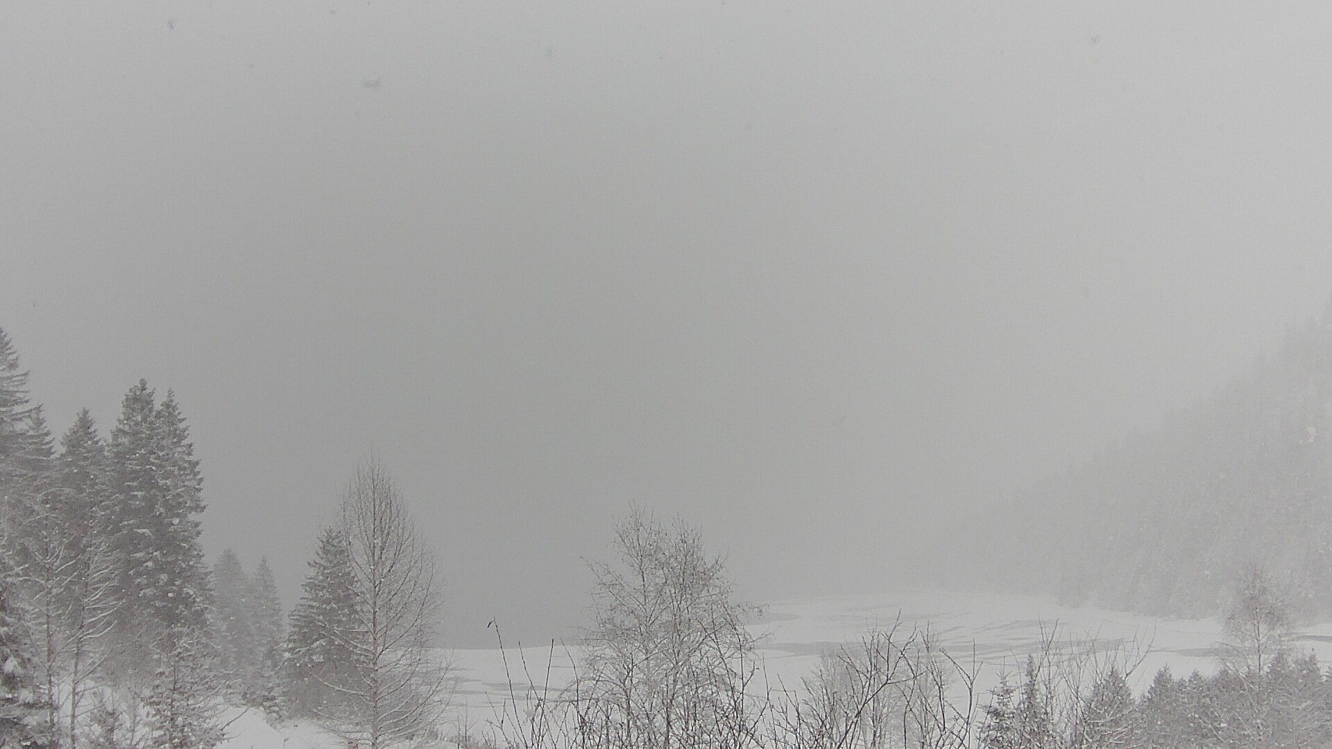 Archiv Foto Webcam Plansee Seespitze