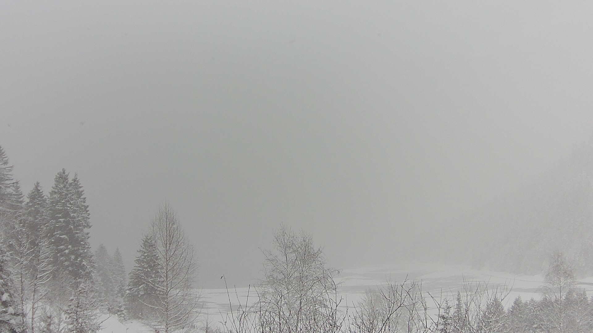 Archiv Foto Webcam Plansee Seespitze