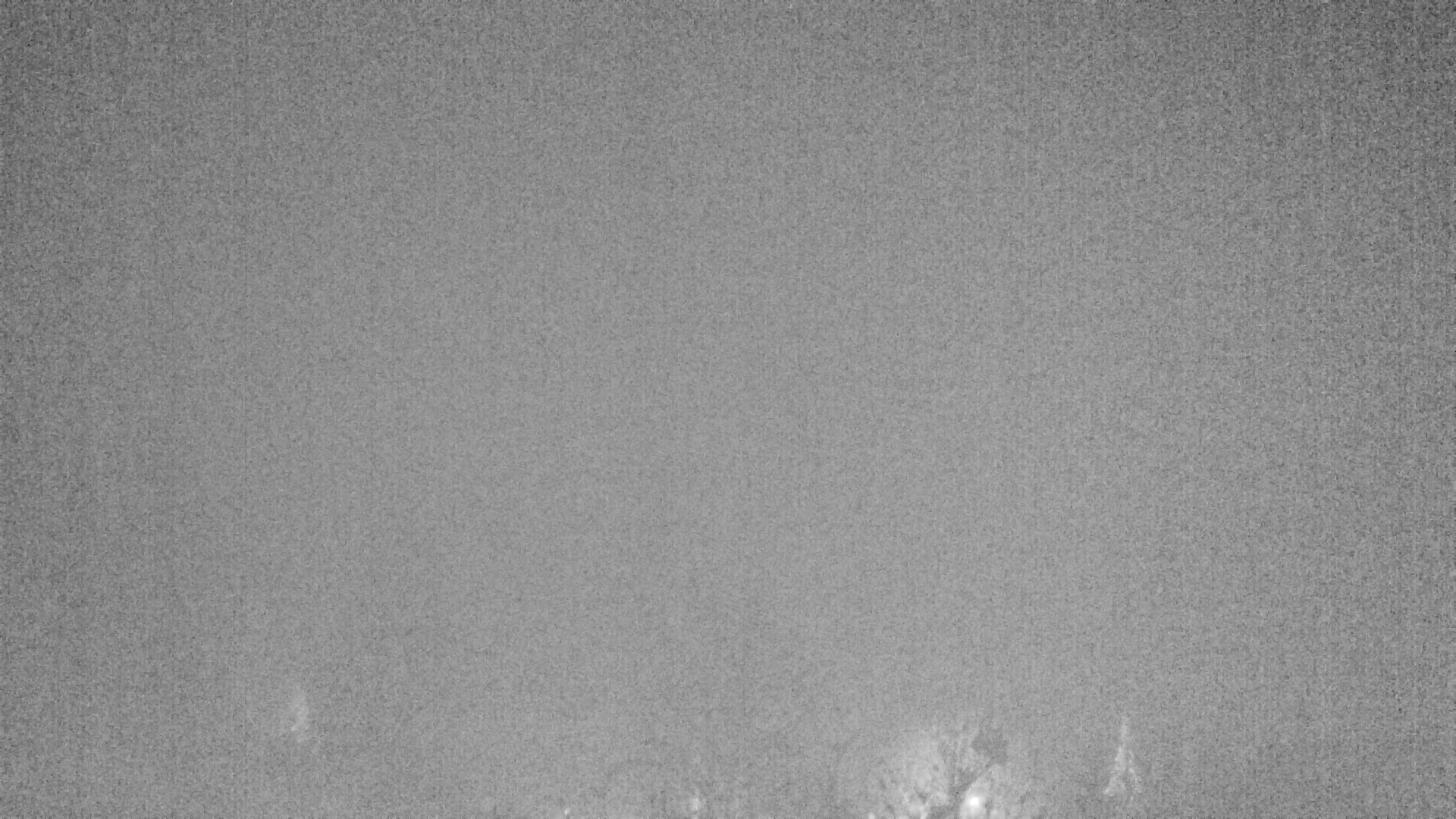 Archiv Foto Webcam Plansee Seespitze