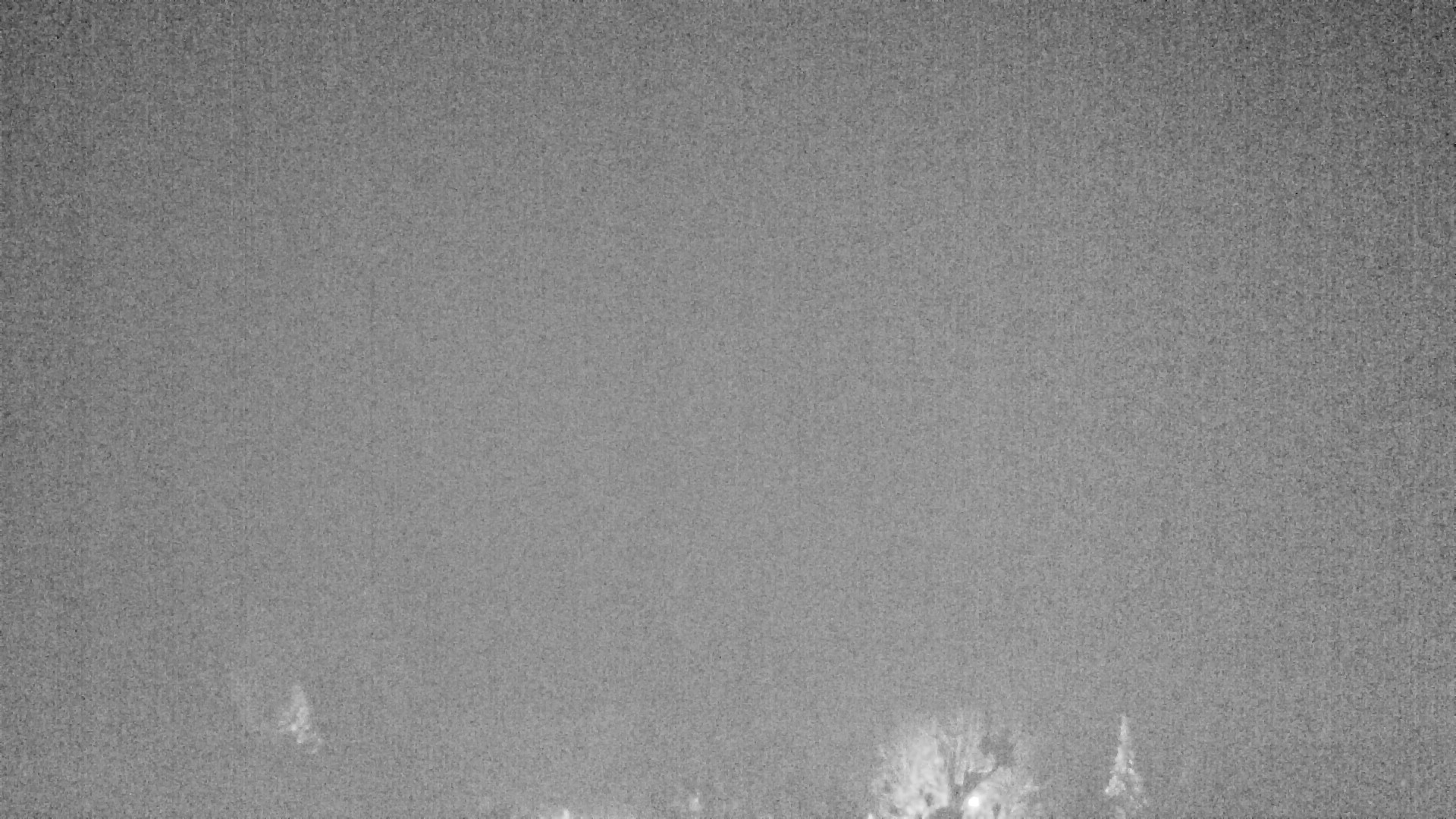 Archiv Foto Webcam Plansee Seespitze