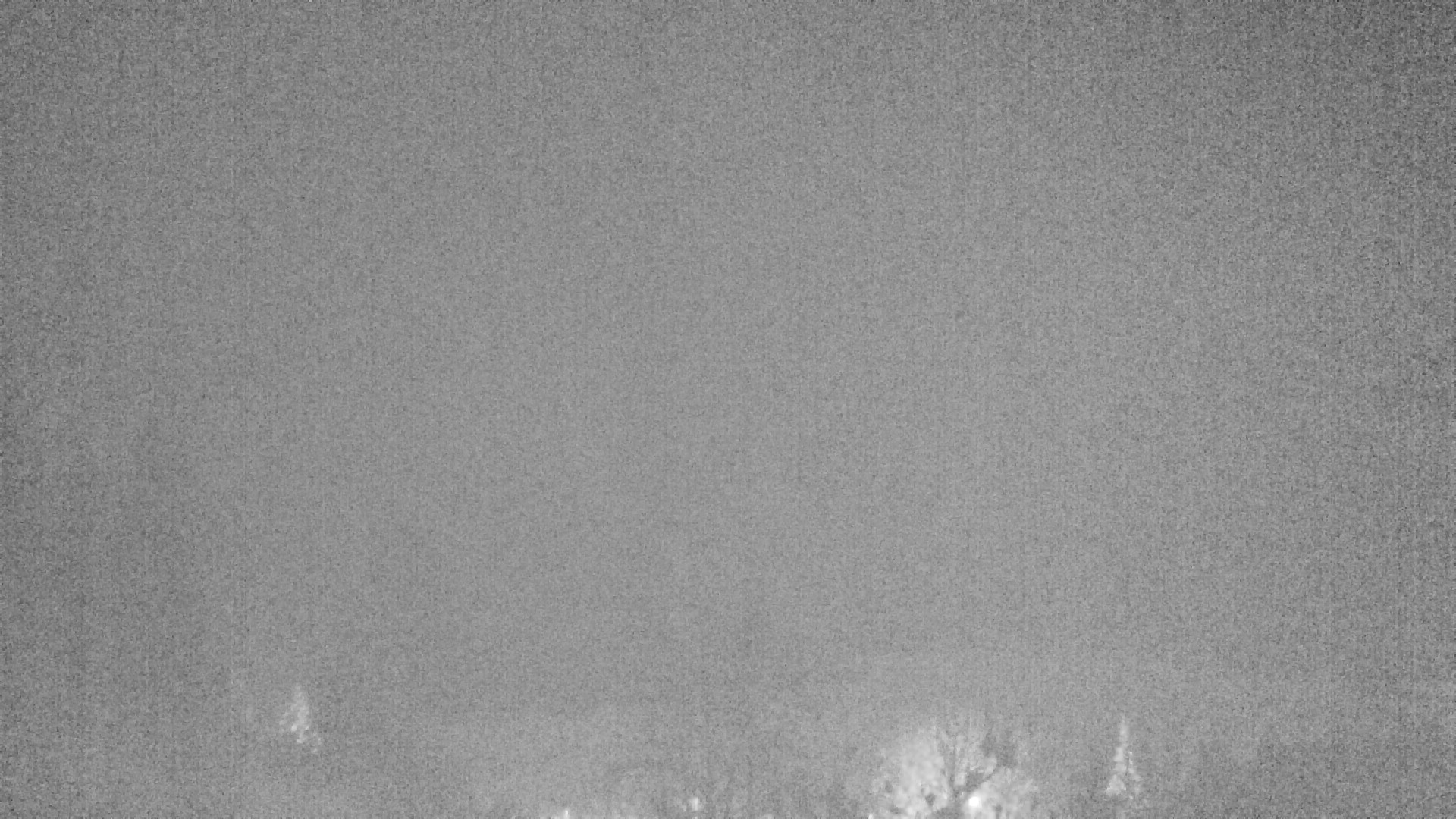 Archiv Foto Webcam Plansee Seespitze