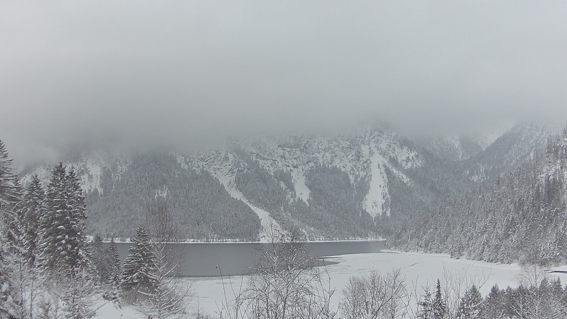 Archiv Foto Webcam Plansee Seespitze