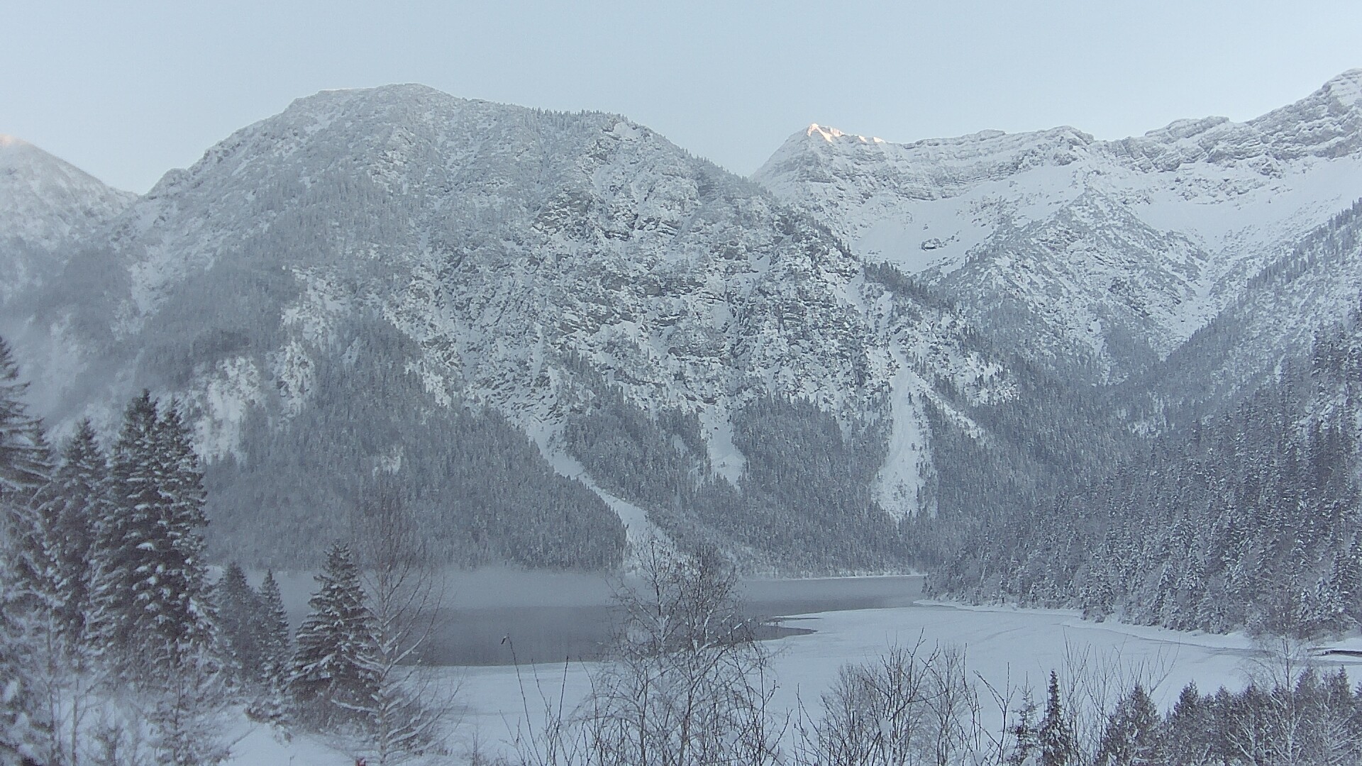 Archiv Foto Webcam Plansee Seespitze