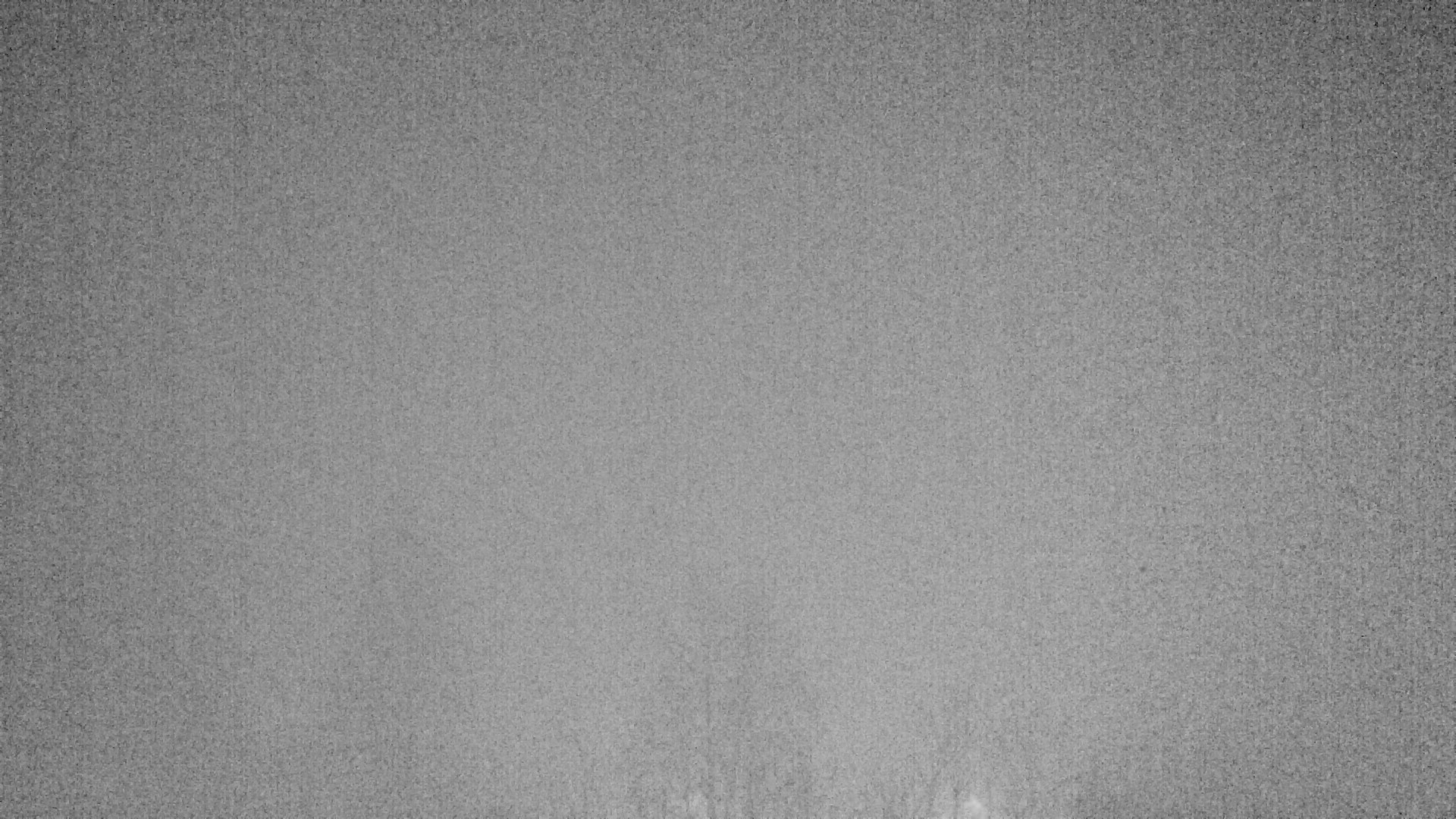 Archiv Foto Webcam Plansee Seespitze