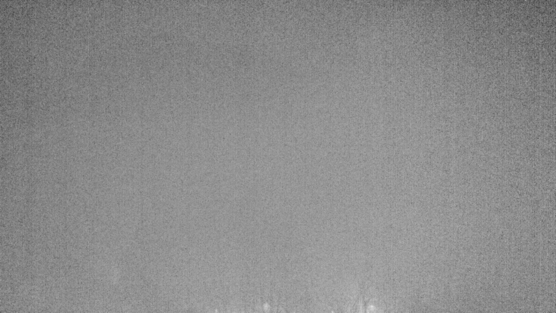 Archiv Foto Webcam Plansee Seespitze