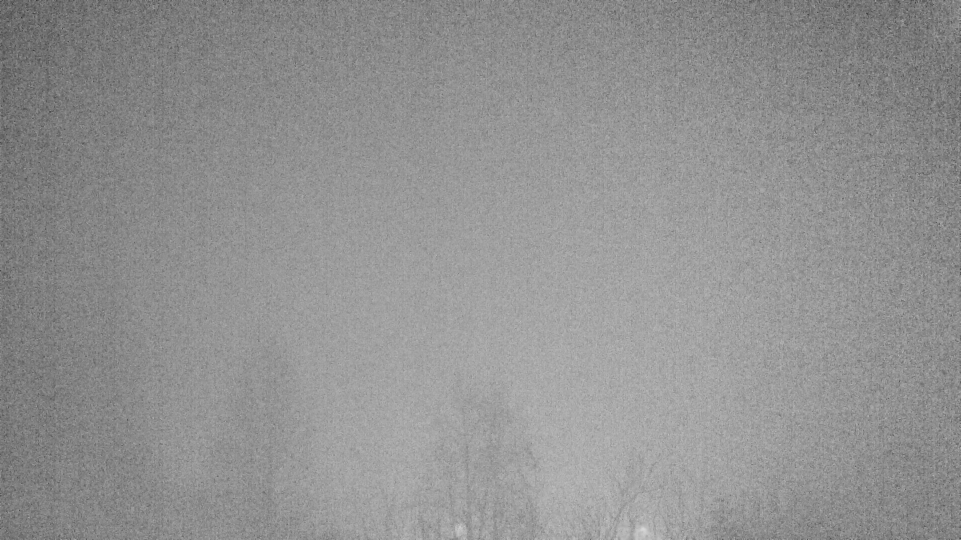 Archiv Foto Webcam Plansee Seespitze