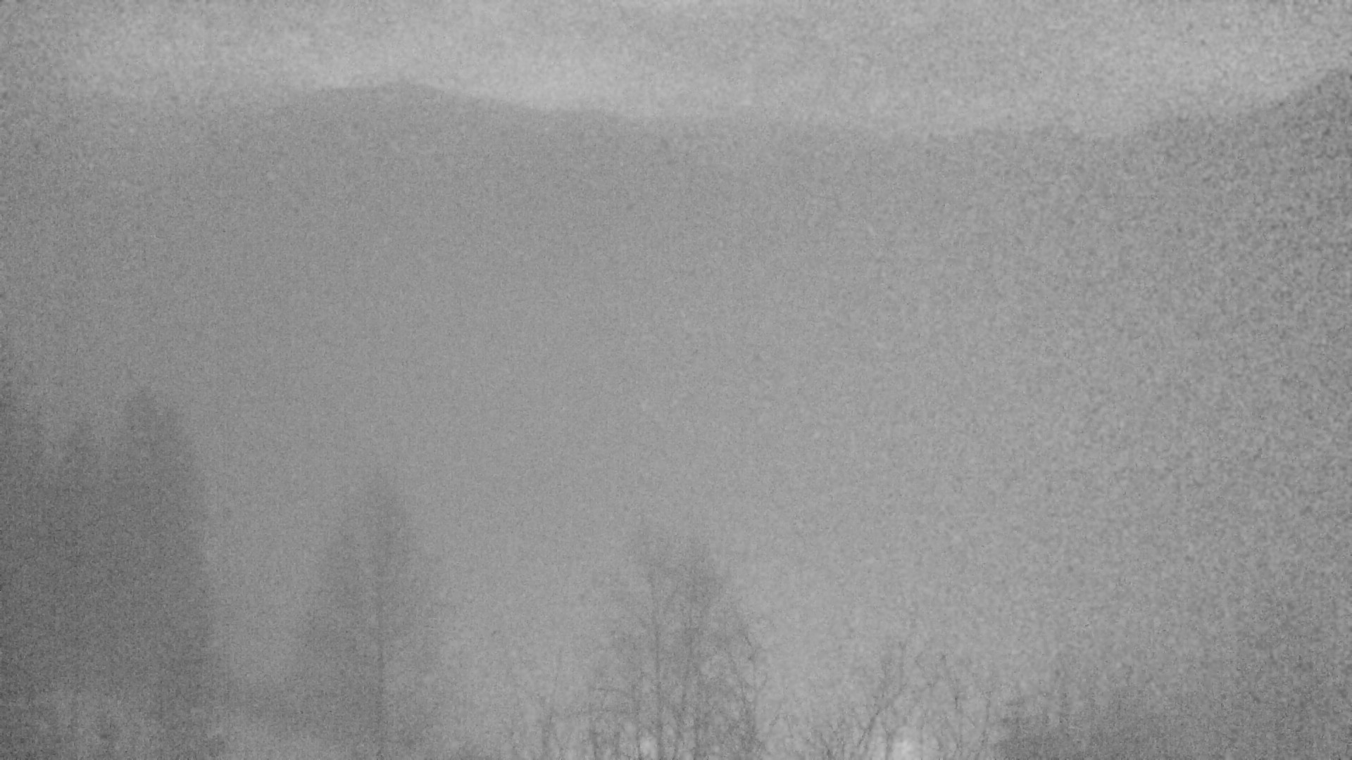 Archiv Foto Webcam Plansee Seespitze