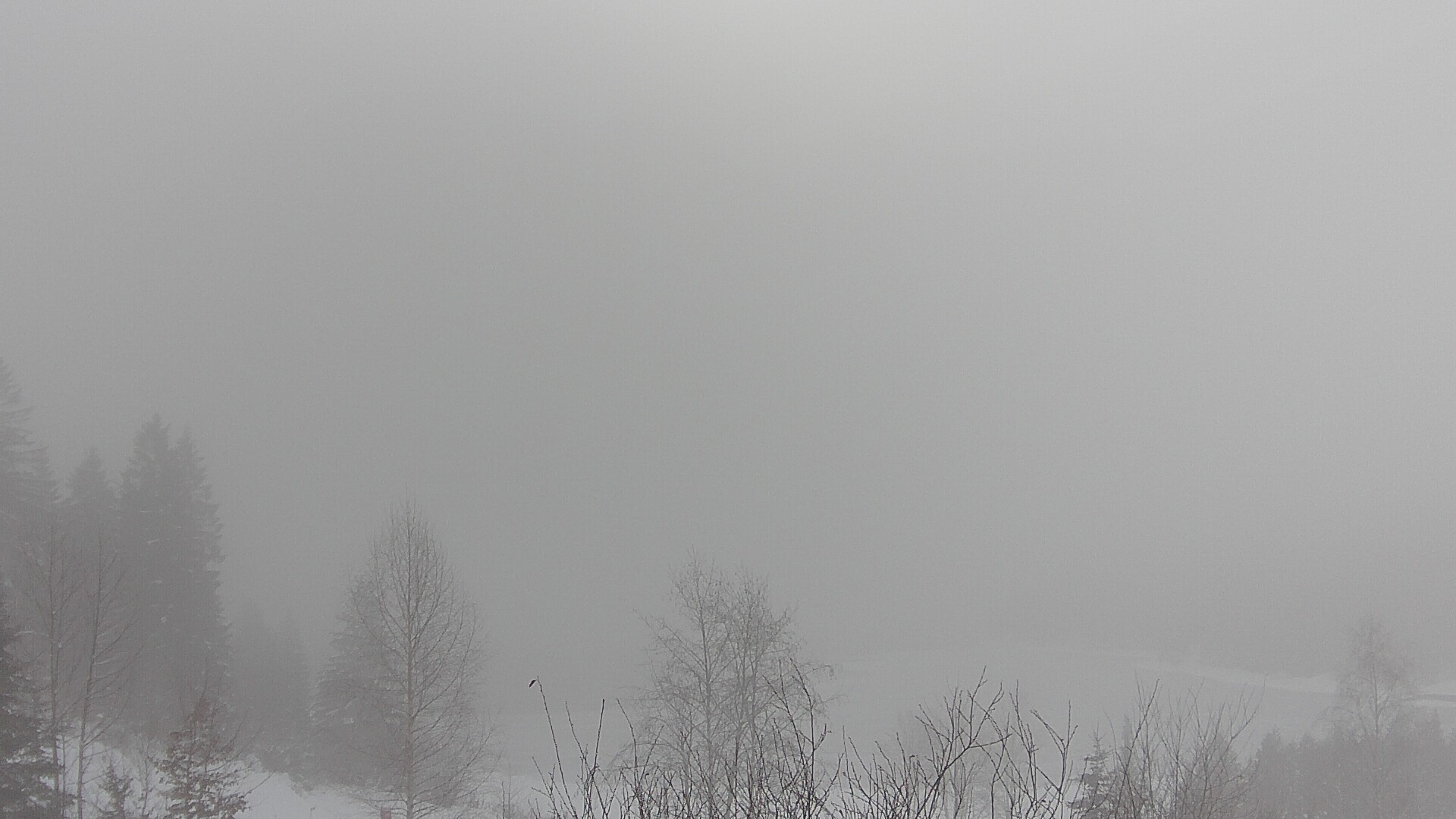 Archiv Foto Webcam Plansee Seespitze