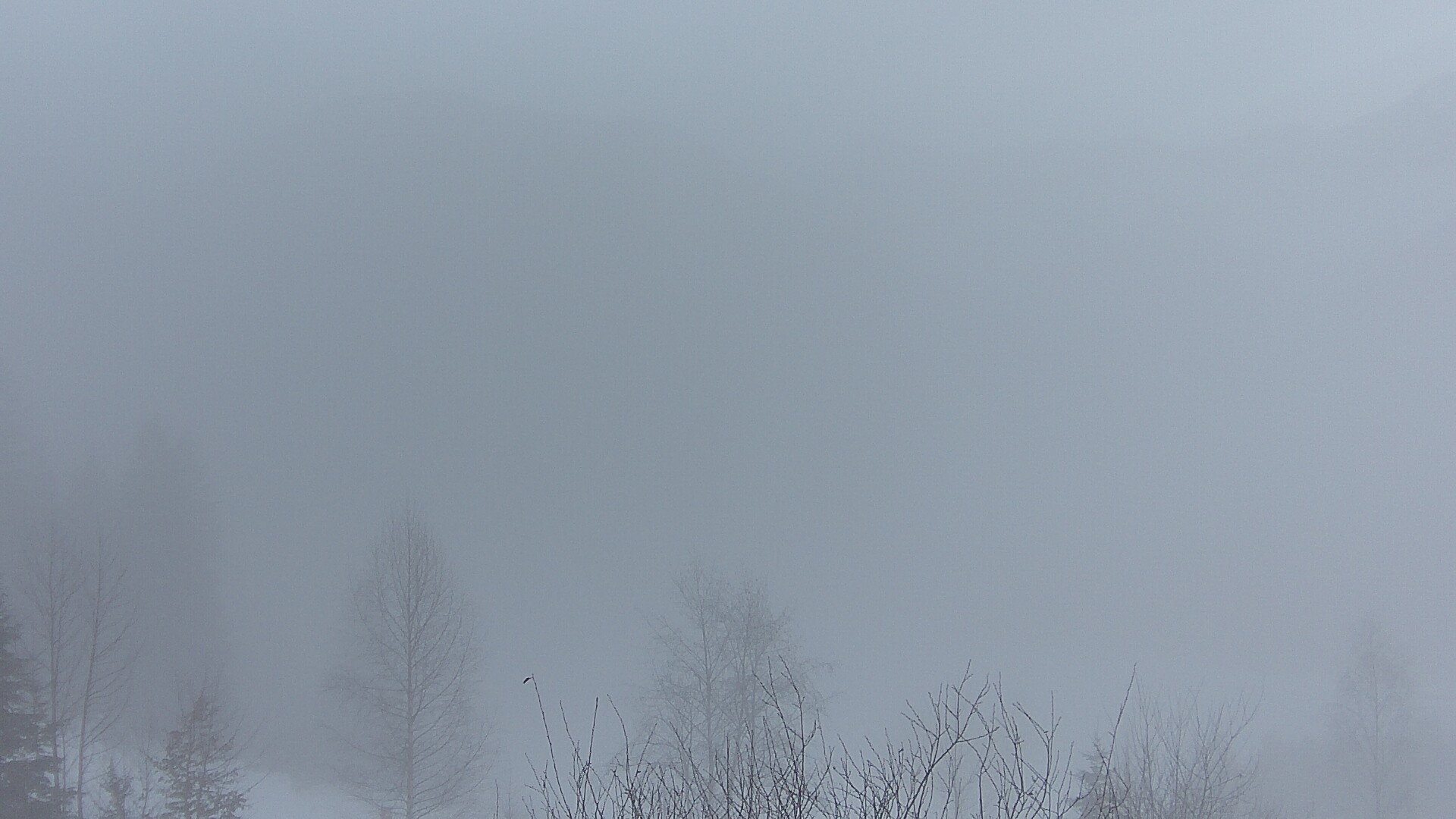 Archiv Foto Webcam Plansee Seespitze