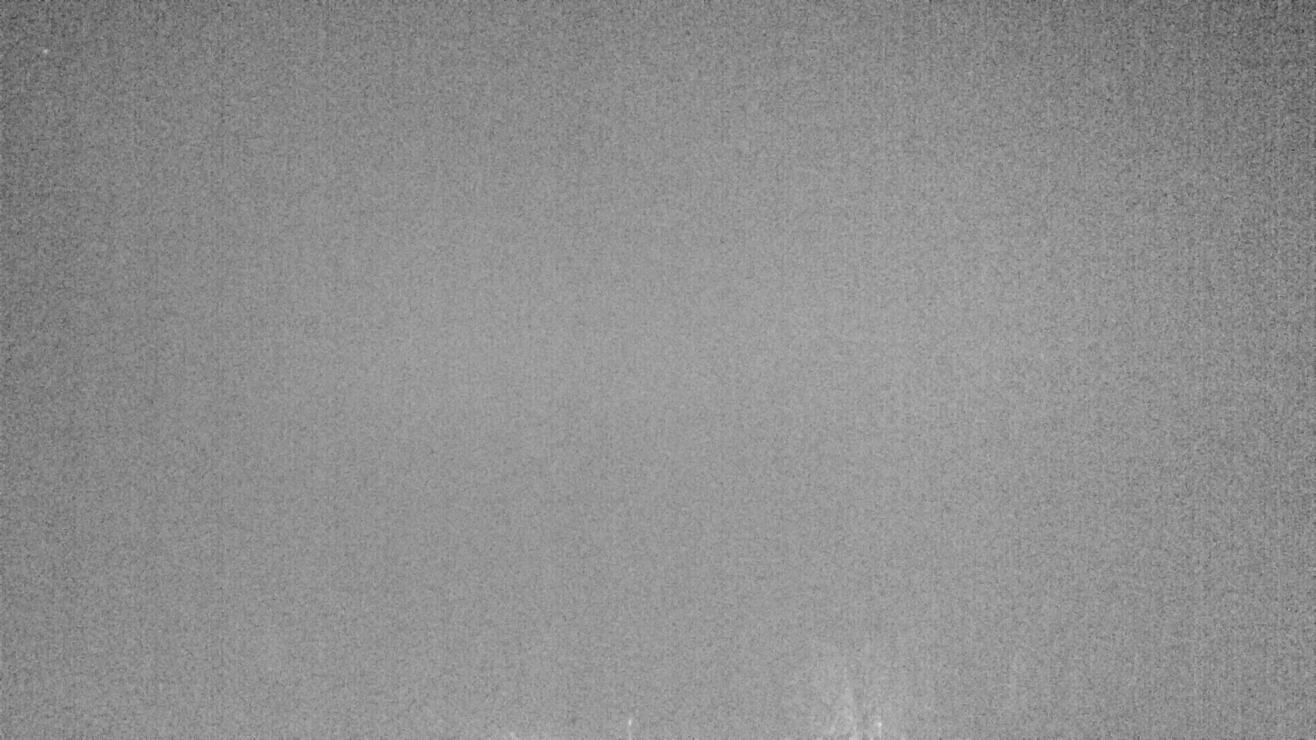 Archiv Foto Webcam Plansee Seespitze