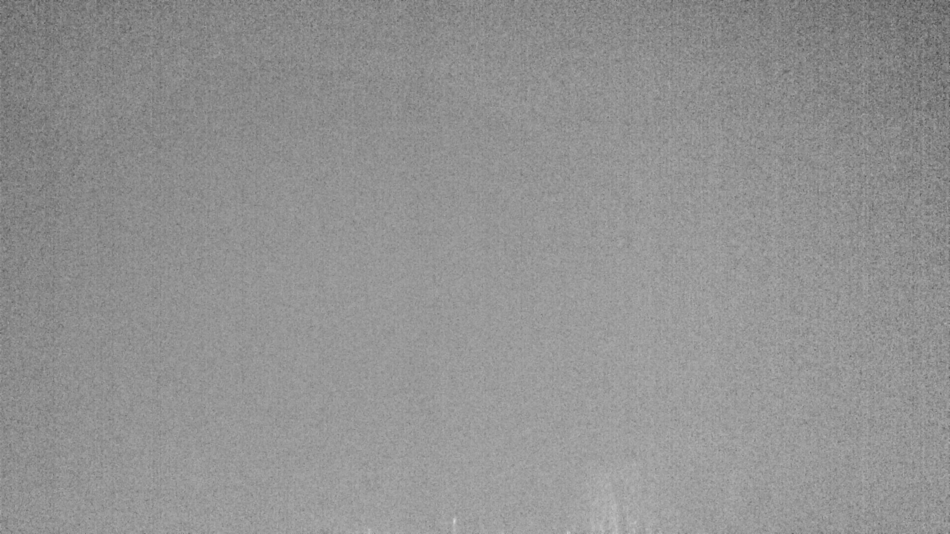 Archived image Webcam Plansee, Reutte