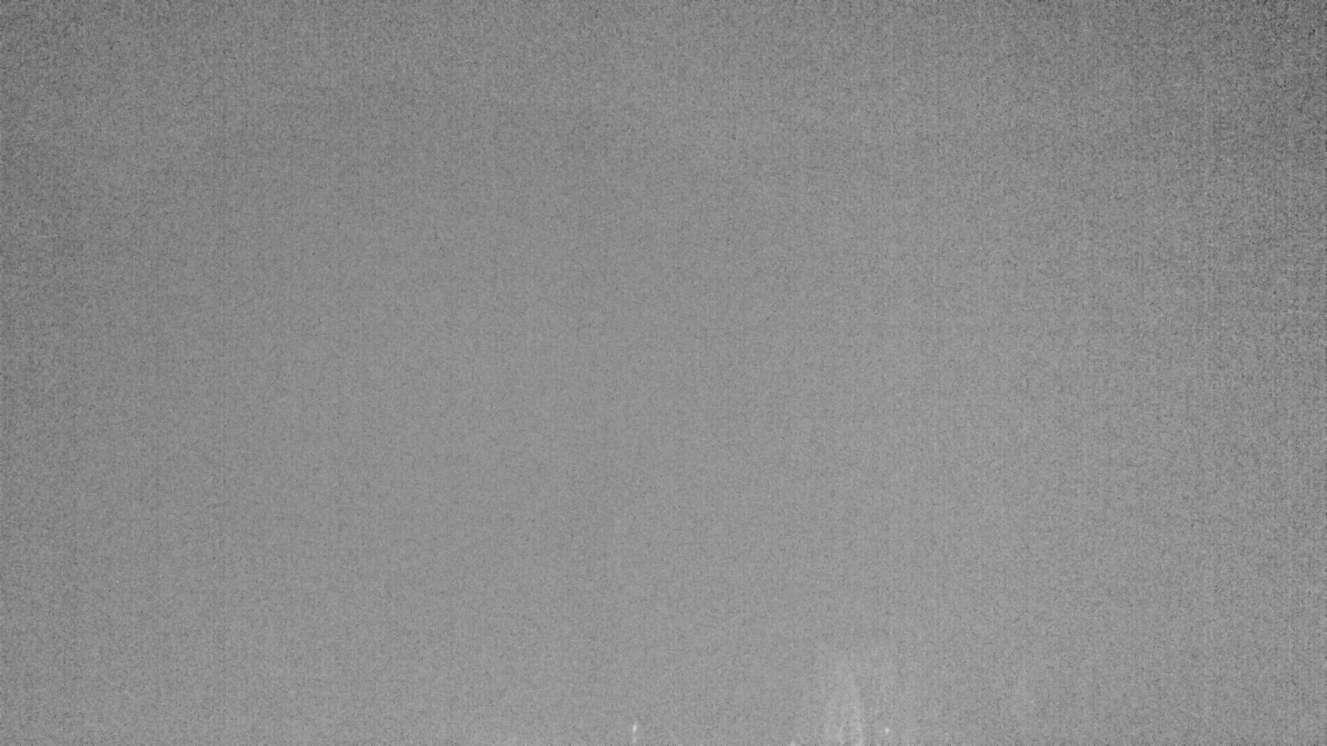 Archived image Webcam Plansee, Reutte