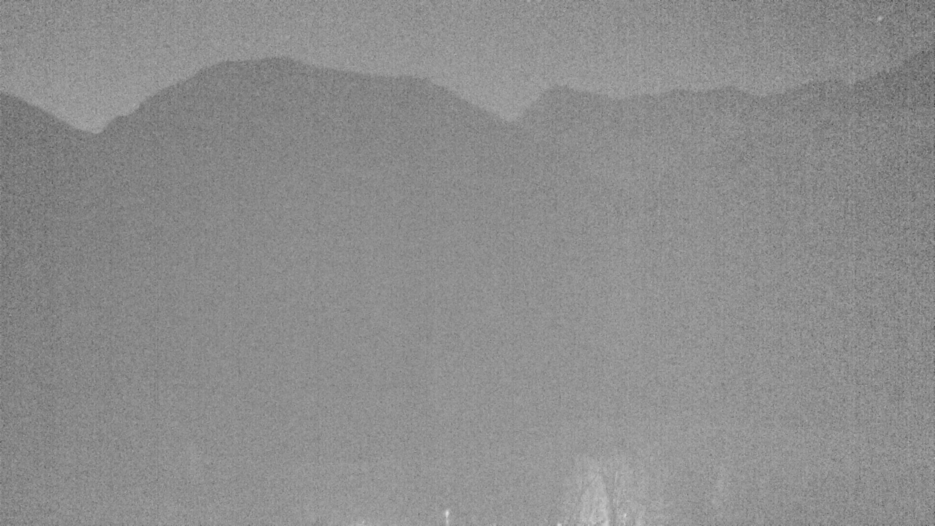 Archived image Webcam Plansee, Reutte