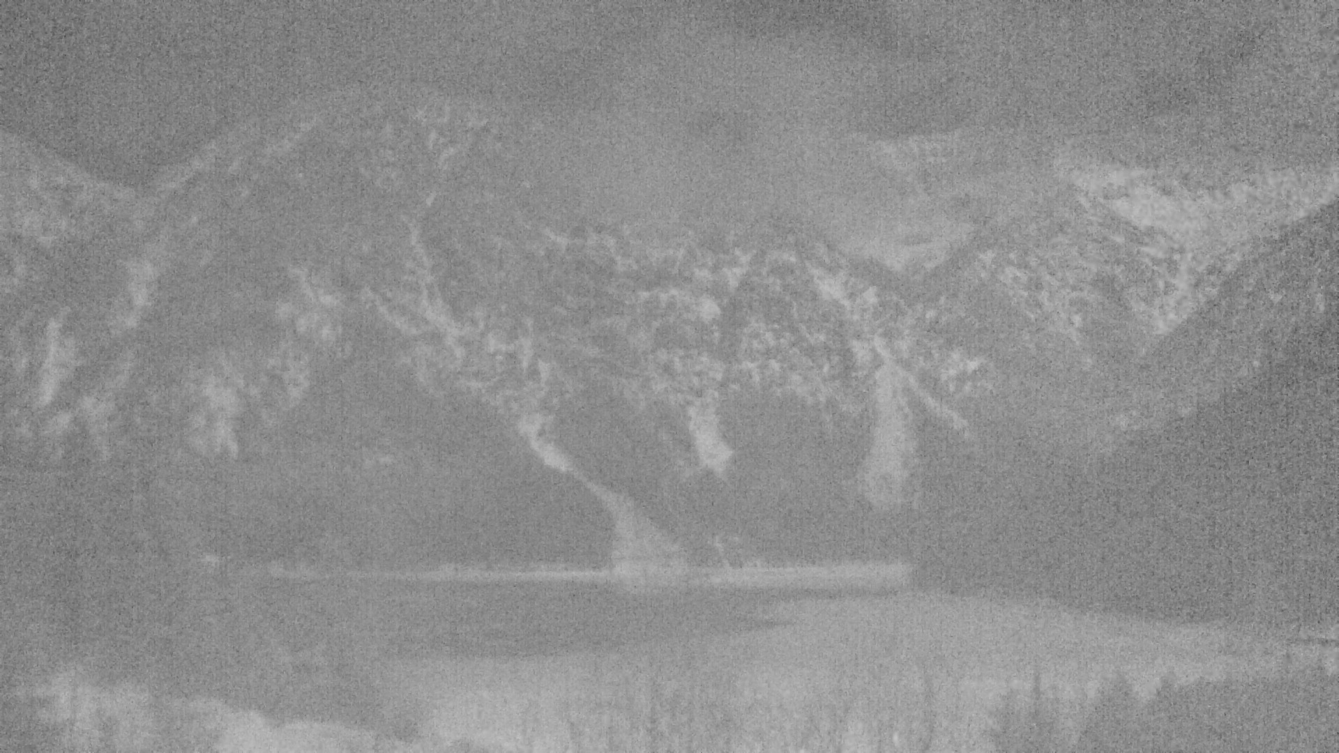 Archiv Foto Webcam Plansee Seespitze