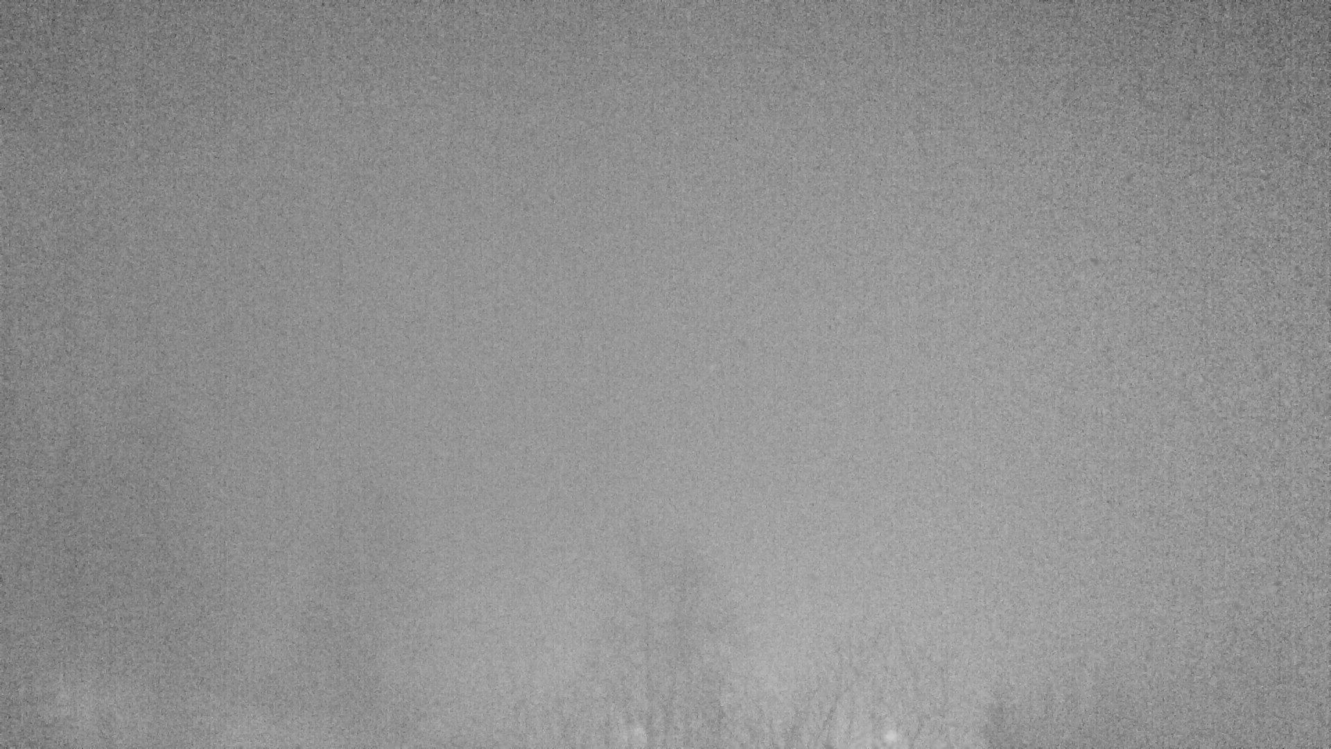 Archiv Foto Webcam Plansee Seespitze