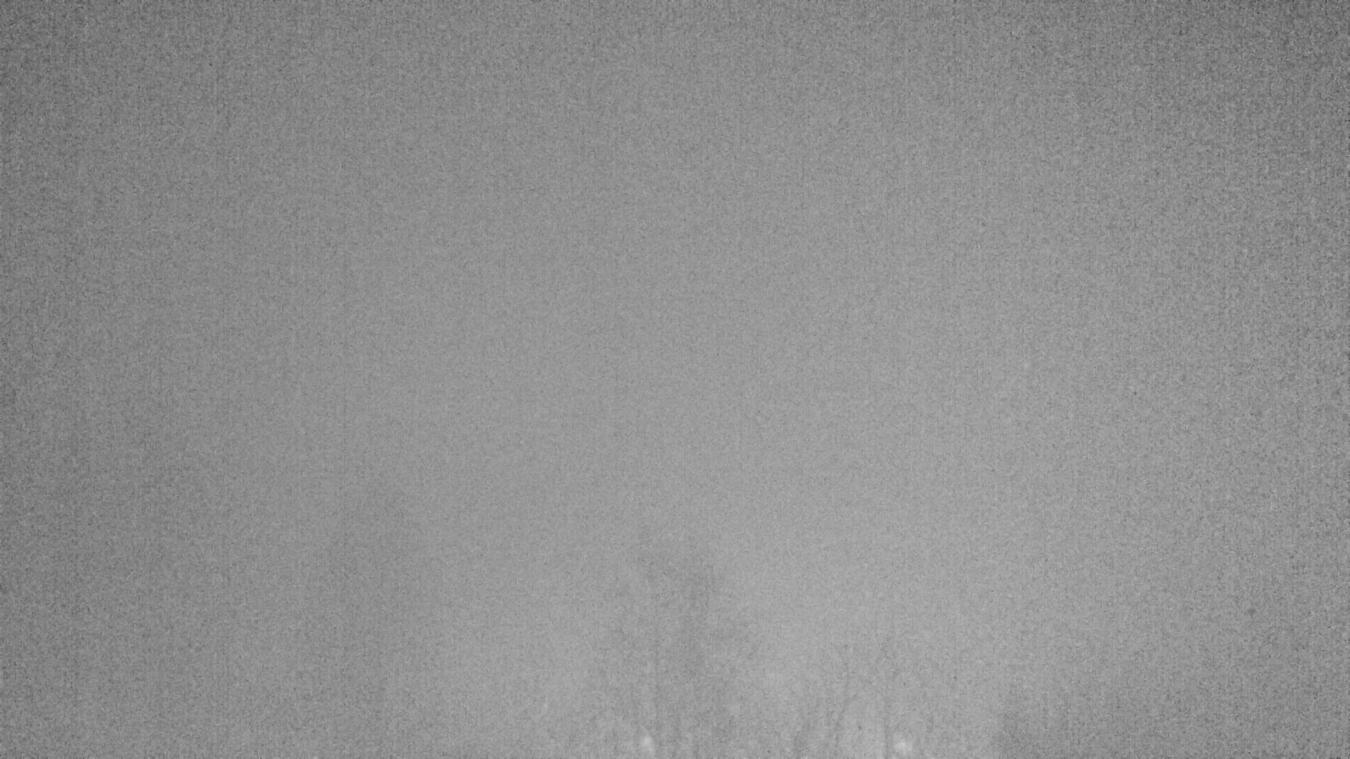 Archiv Foto Webcam Plansee Seespitze