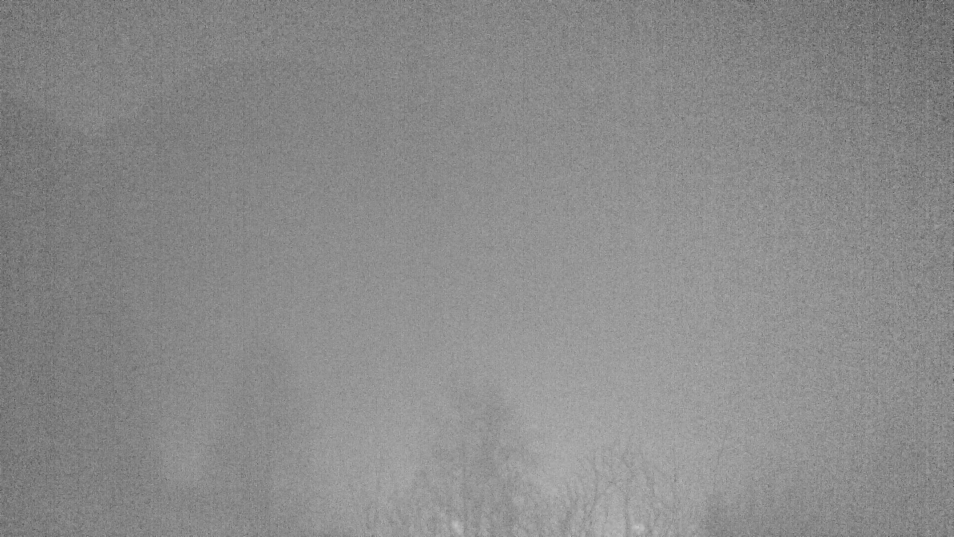 Archiv Foto Webcam Plansee Seespitze