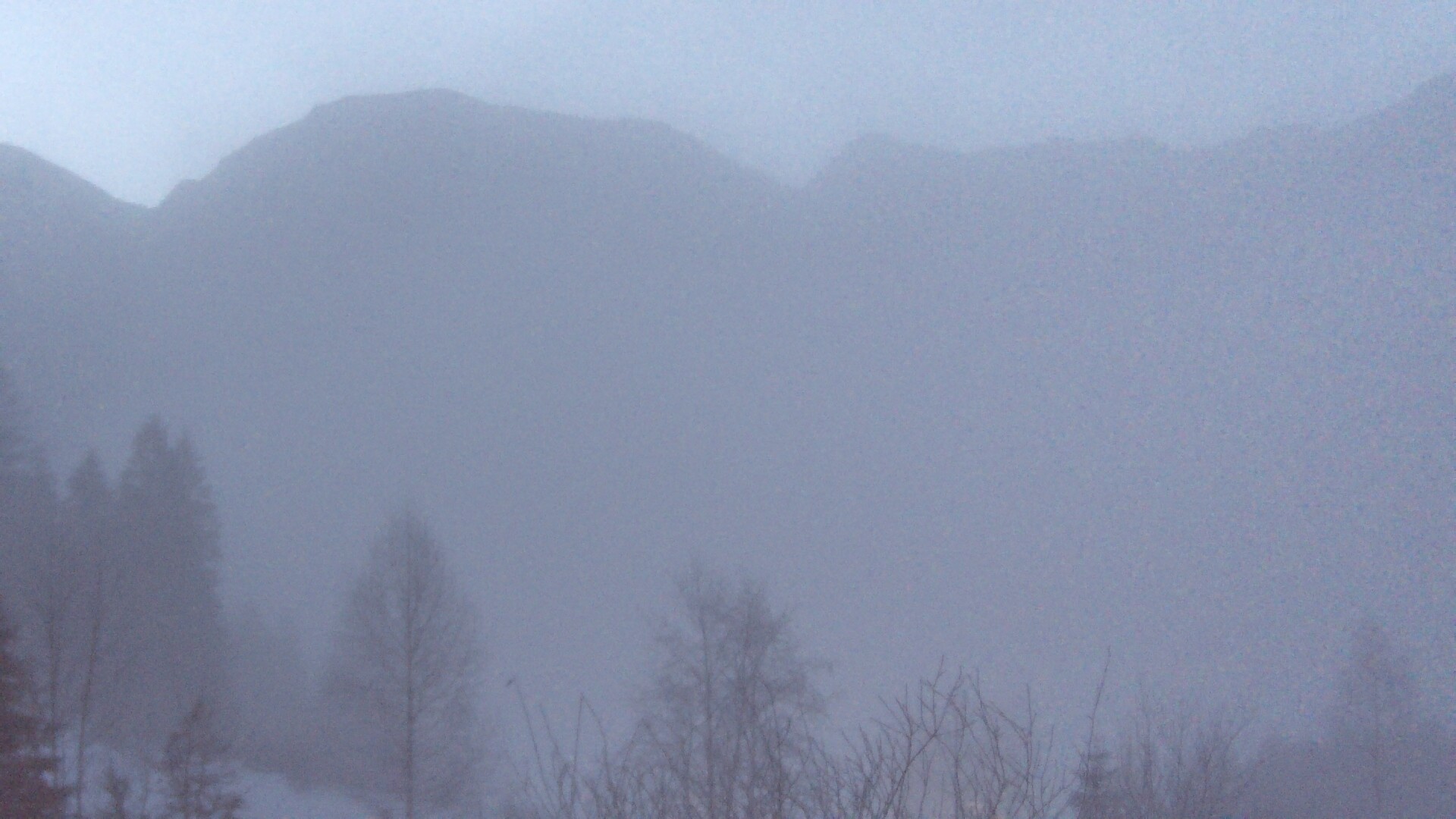 Archiv Foto Webcam Plansee Seespitze