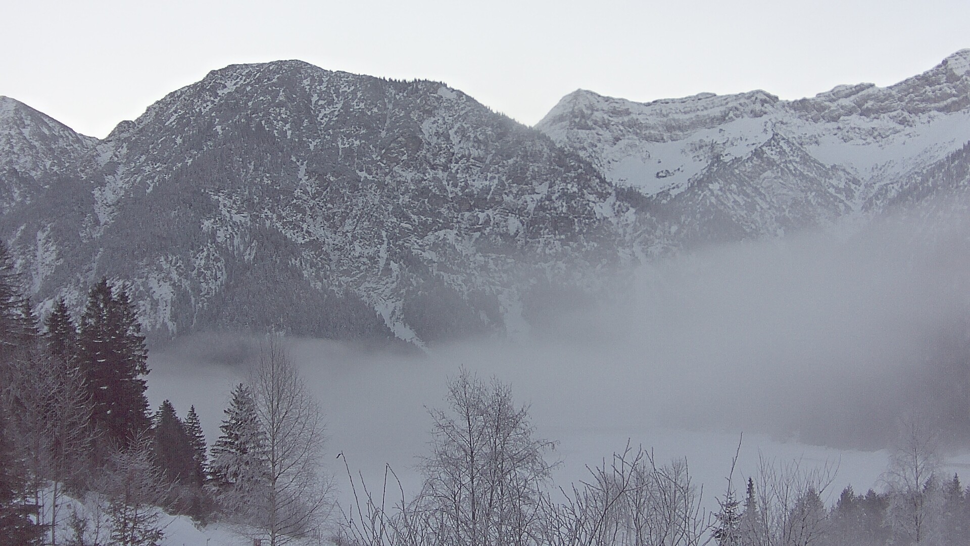 Archiv Foto Webcam Plansee Seespitze