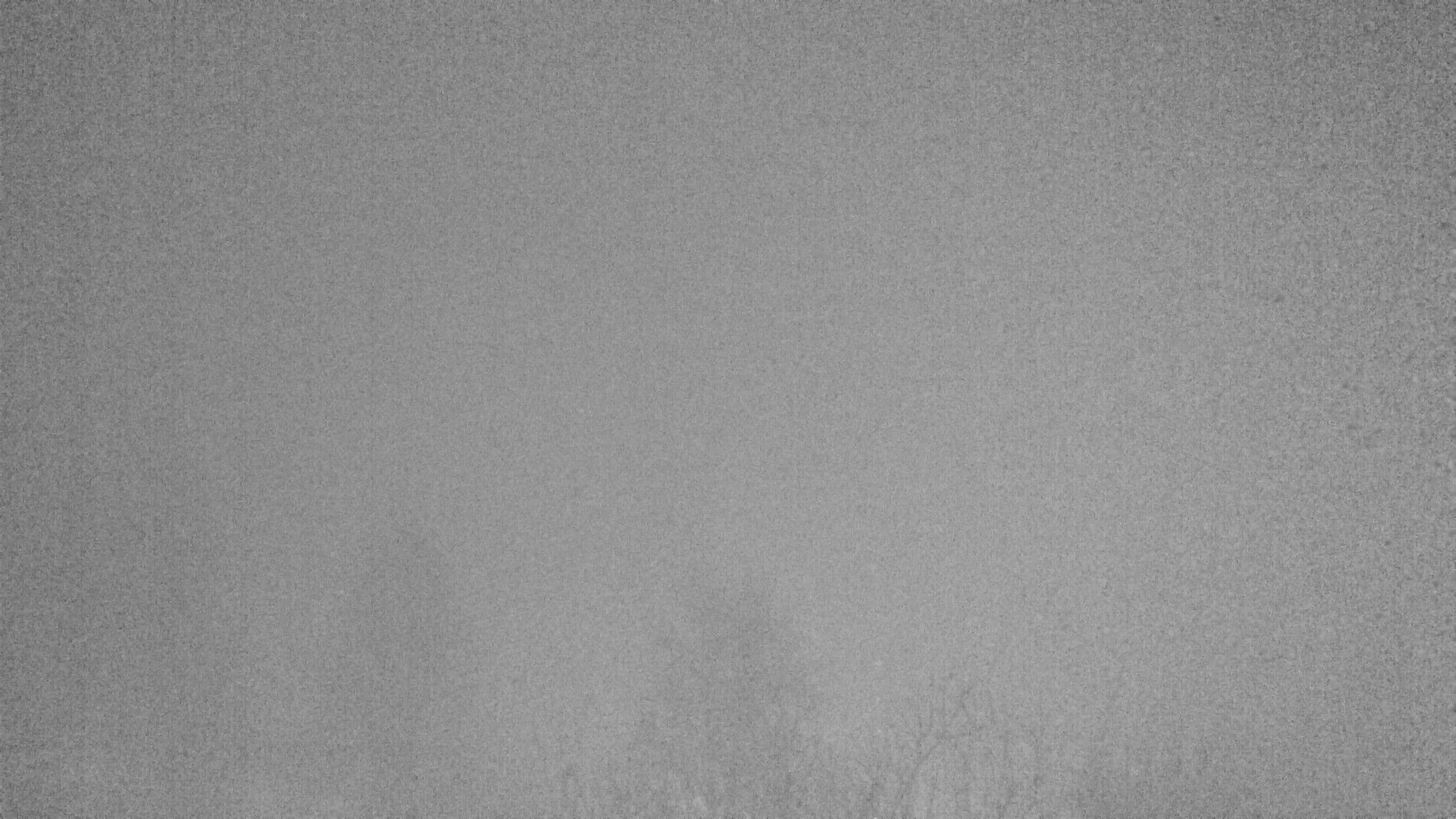 Archiv Foto Webcam Plansee Seespitze