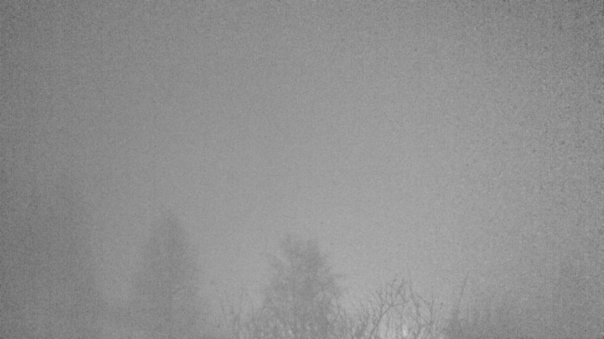 Archiv Foto Webcam Plansee Seespitze