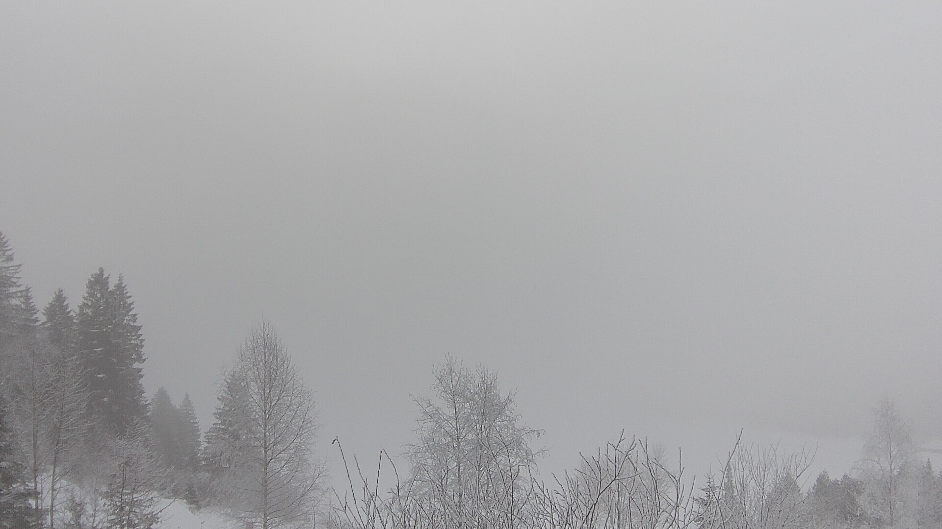 Archiv Foto Webcam Plansee Seespitze