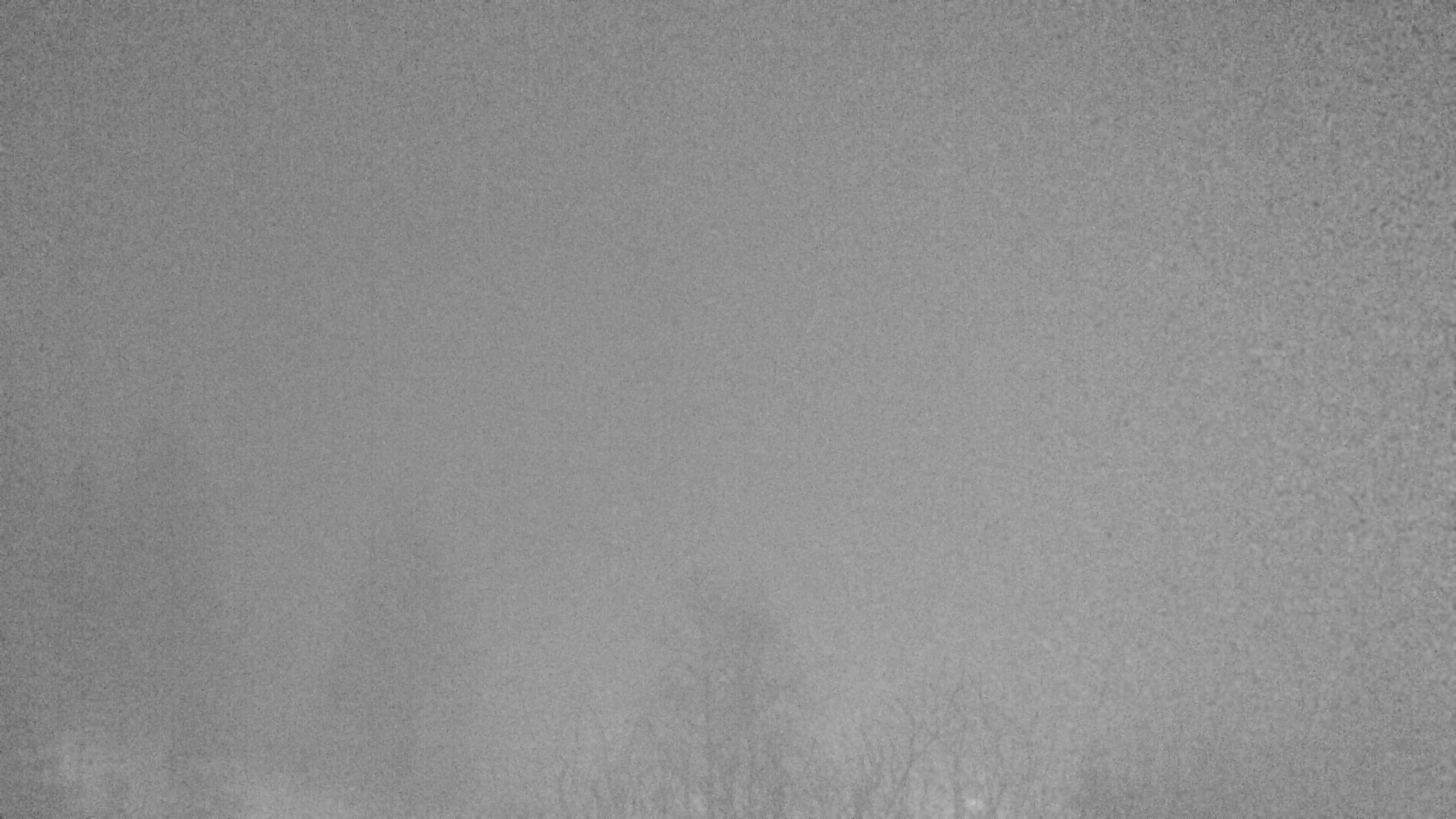 Archiv Foto Webcam Plansee Seespitze