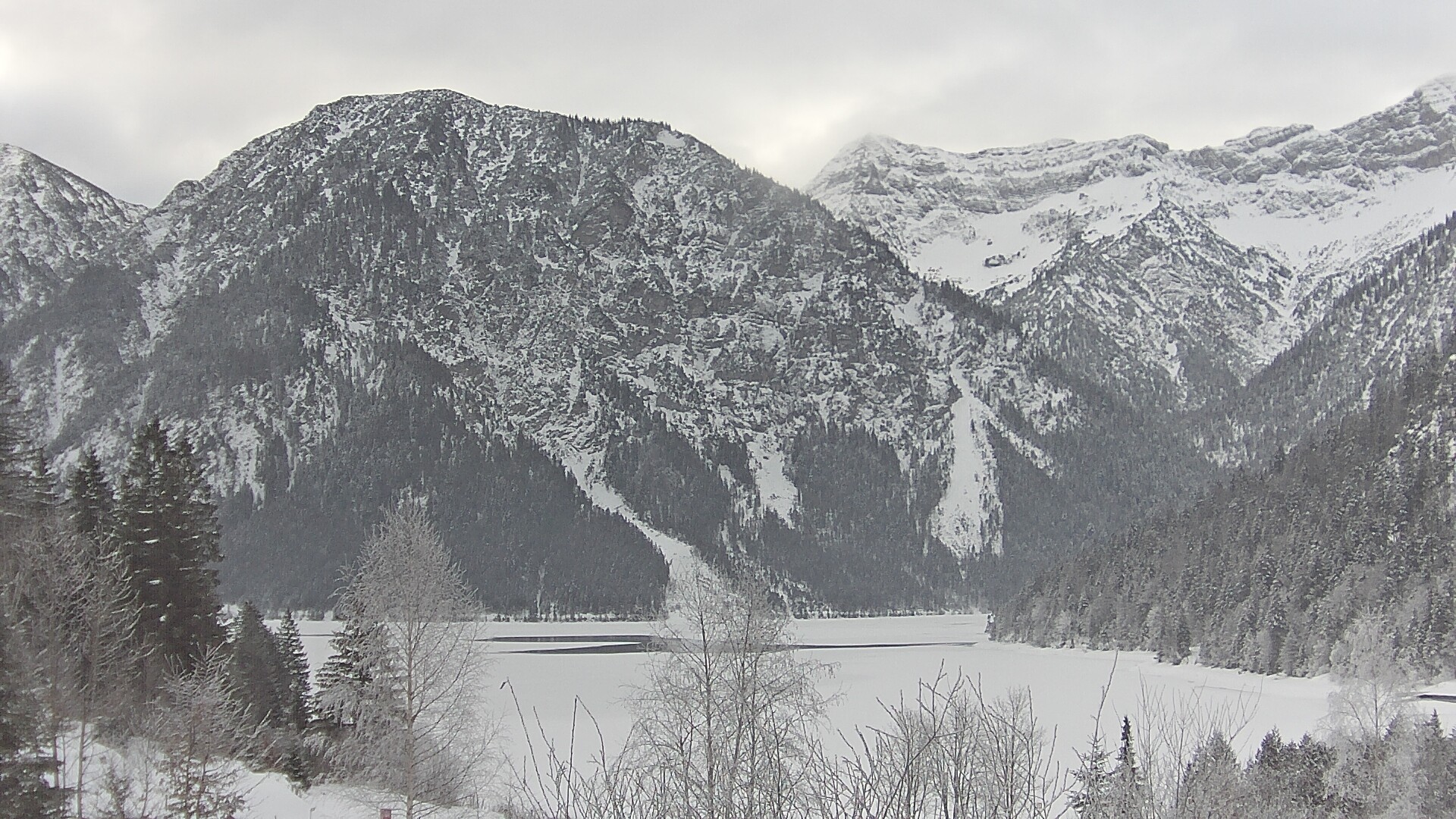 Archiv Foto Webcam Plansee Seespitze