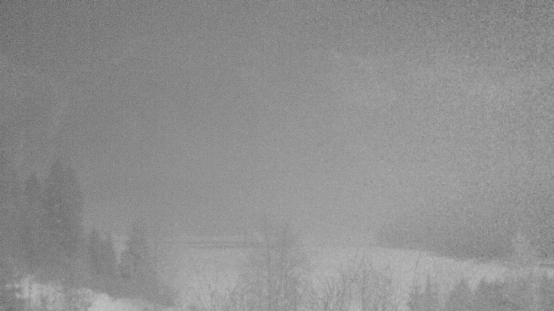 Archiv Foto Webcam Plansee Seespitze