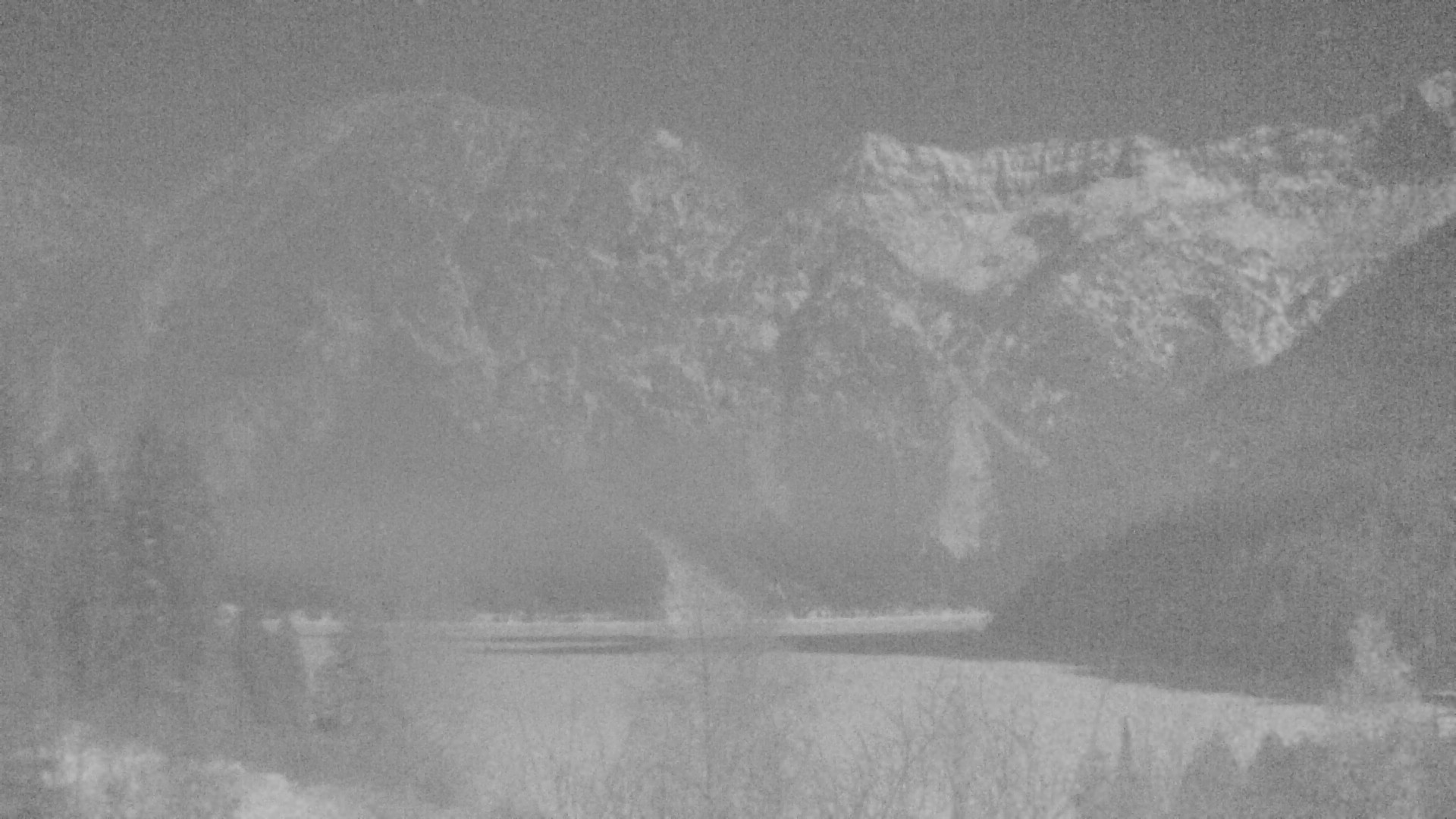 Archiv Foto Webcam Plansee Seespitze