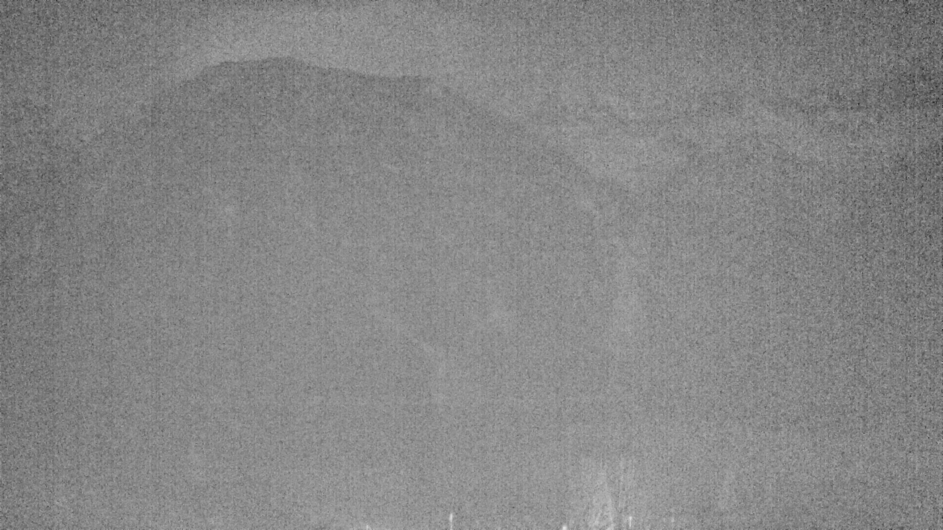 Archiv Foto Webcam Plansee Seespitze