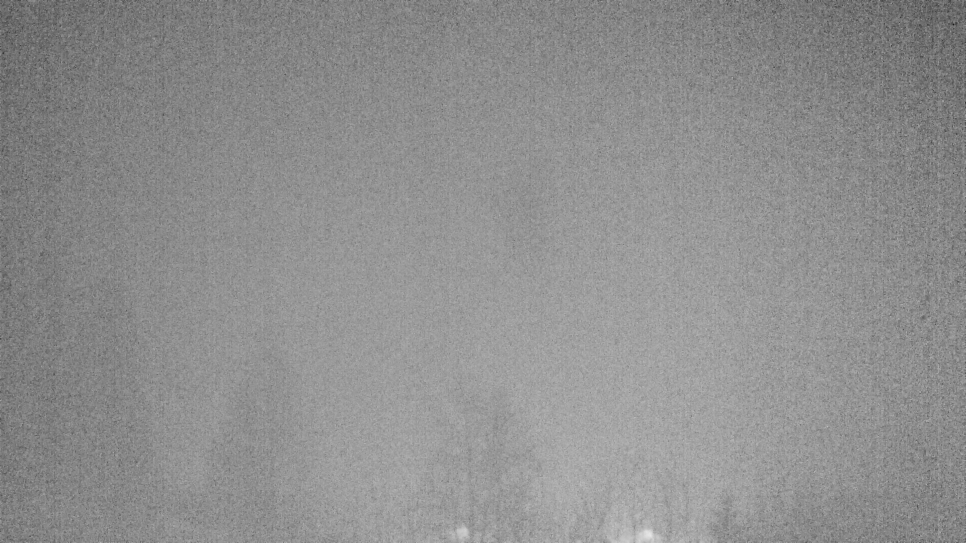 Archiv Foto Webcam Plansee Seespitze