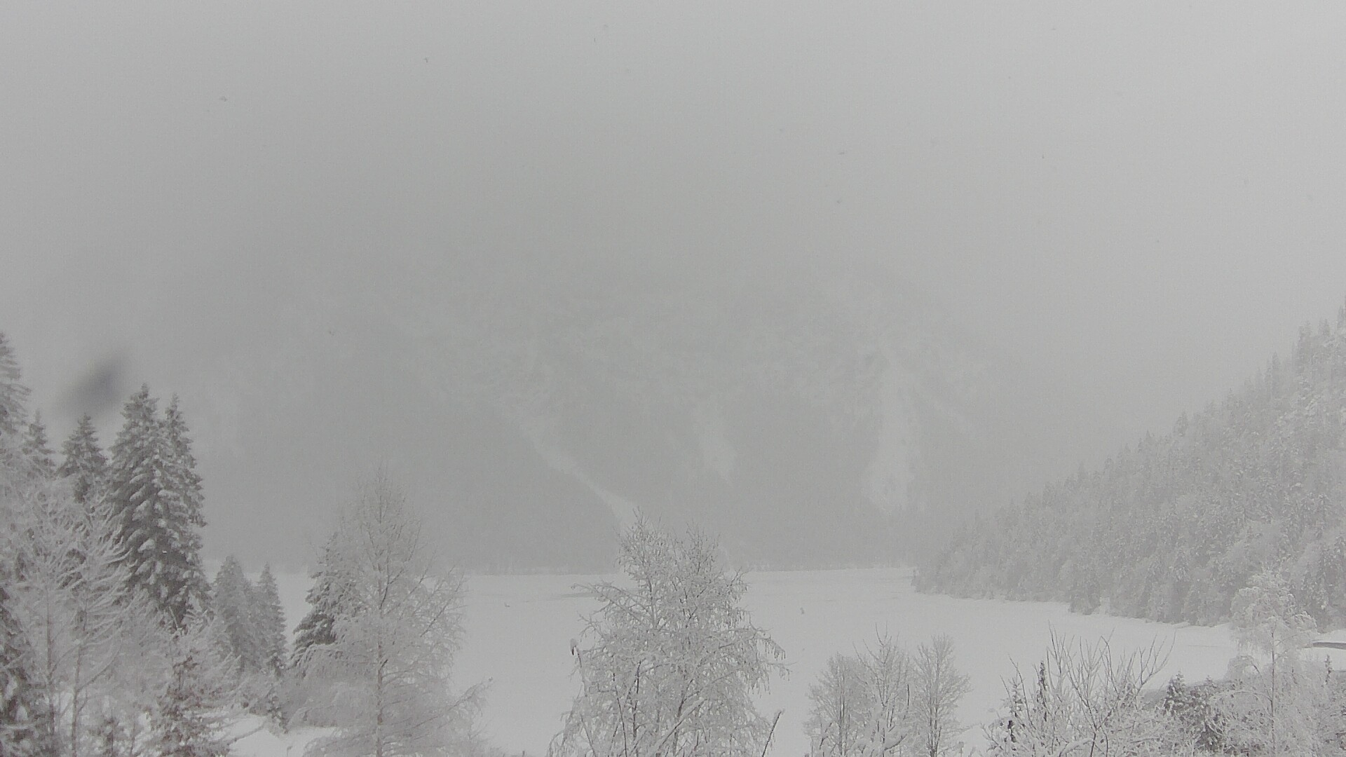 Archiv Foto Webcam Plansee Seespitze