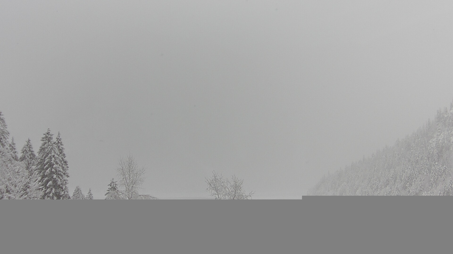 Archiv Foto Webcam Plansee Seespitze