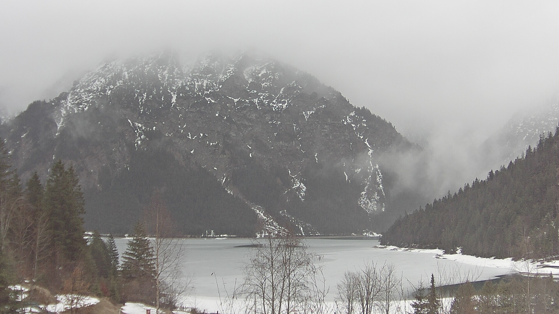 Archiv Foto Webcam Plansee Seespitze
