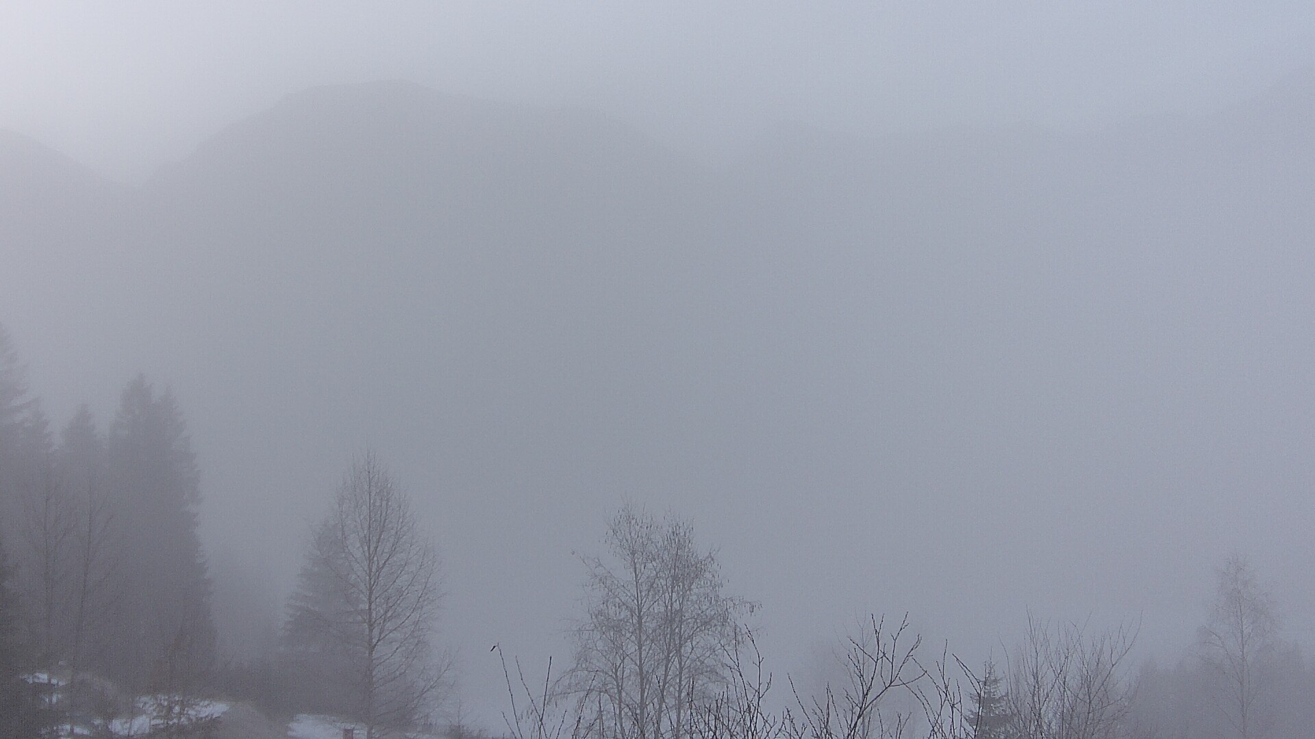 Archiv Foto Webcam Plansee Seespitze