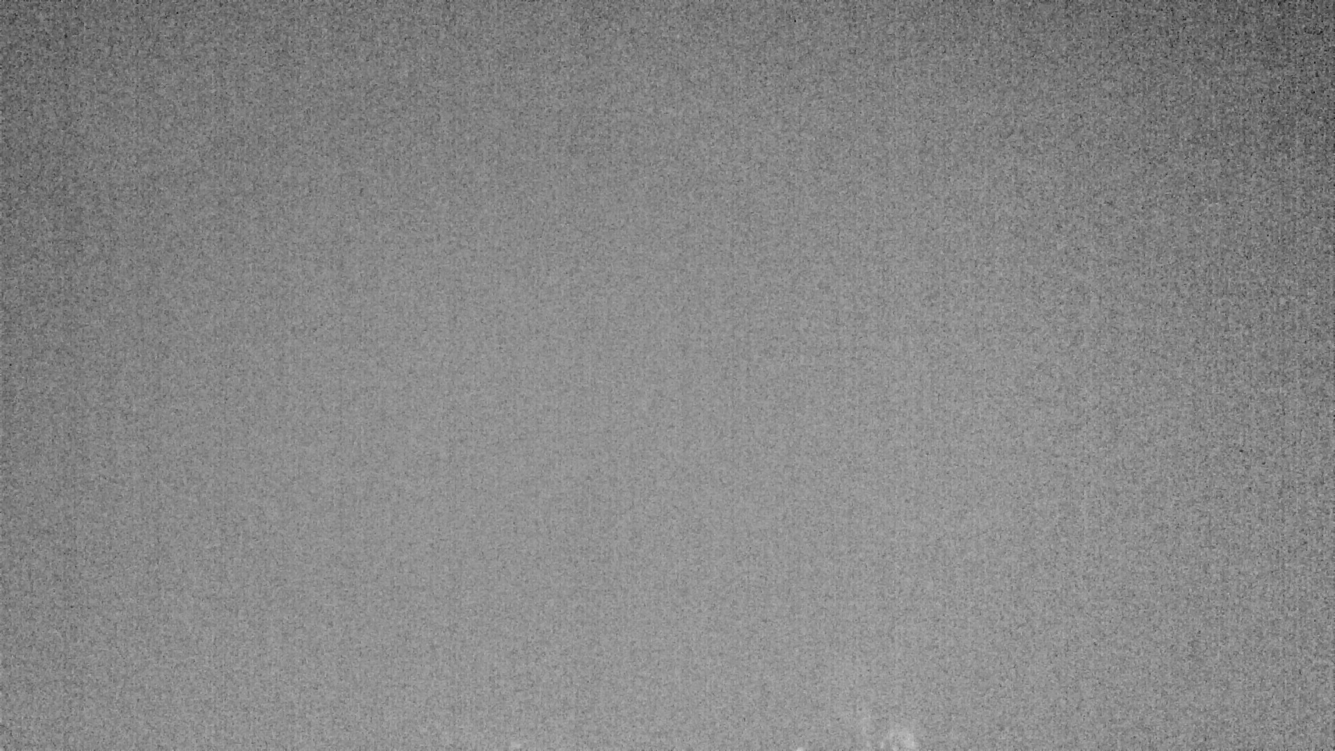 Archiv Foto Webcam Plansee Seespitze