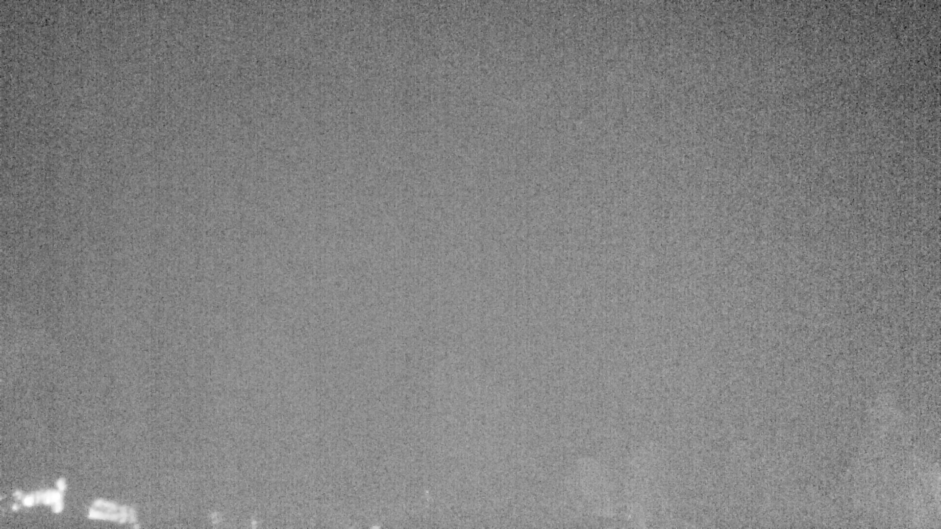 Archived image Webcam Plansee, Reutte