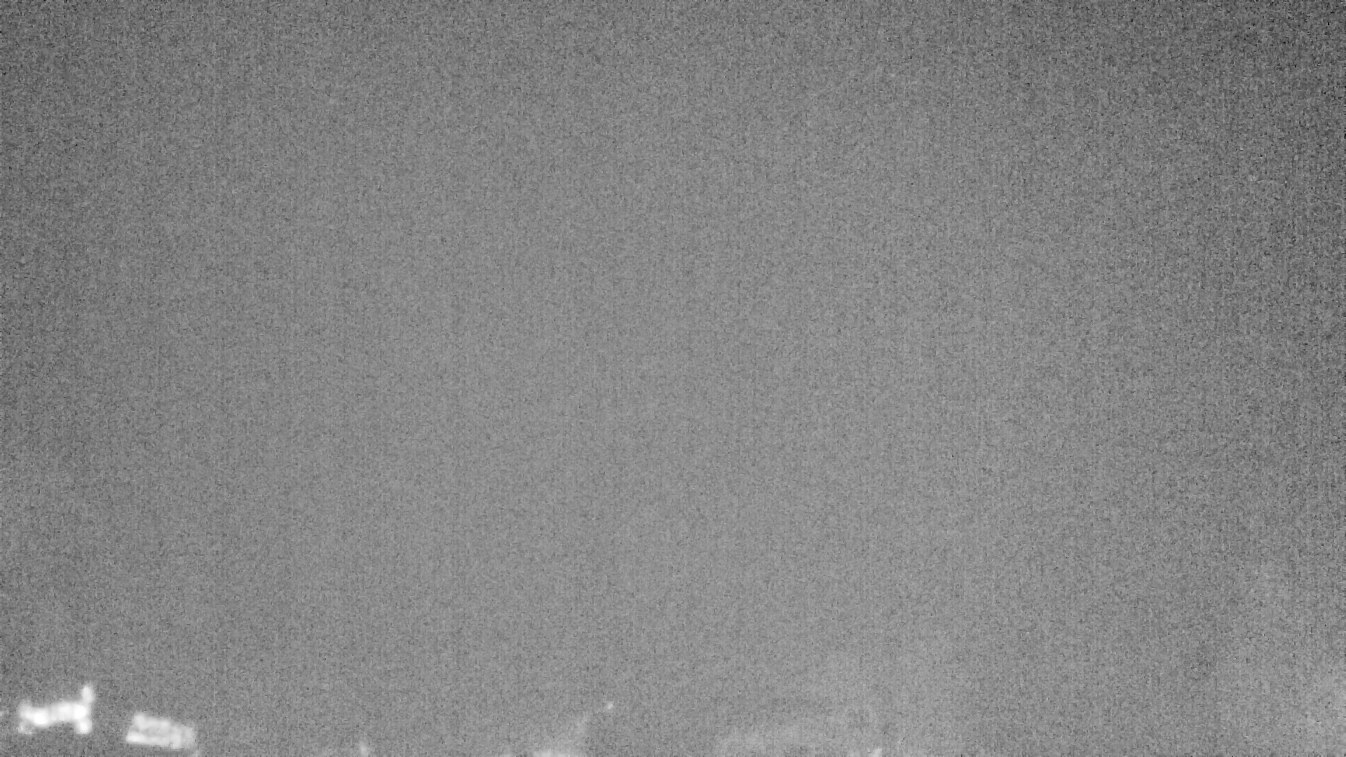 Archiv Foto Webcam Plansee Seespitze