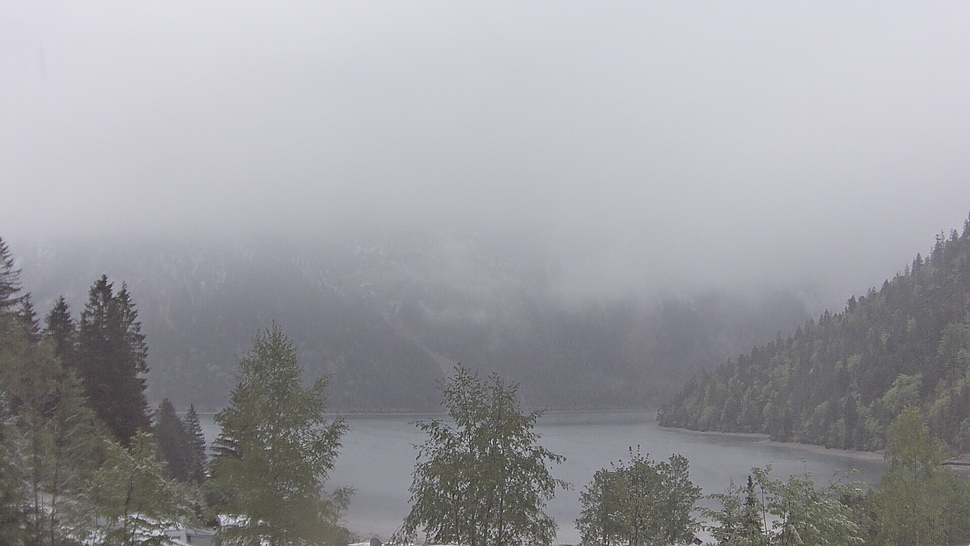 Archiv Foto Webcam Plansee Seespitze