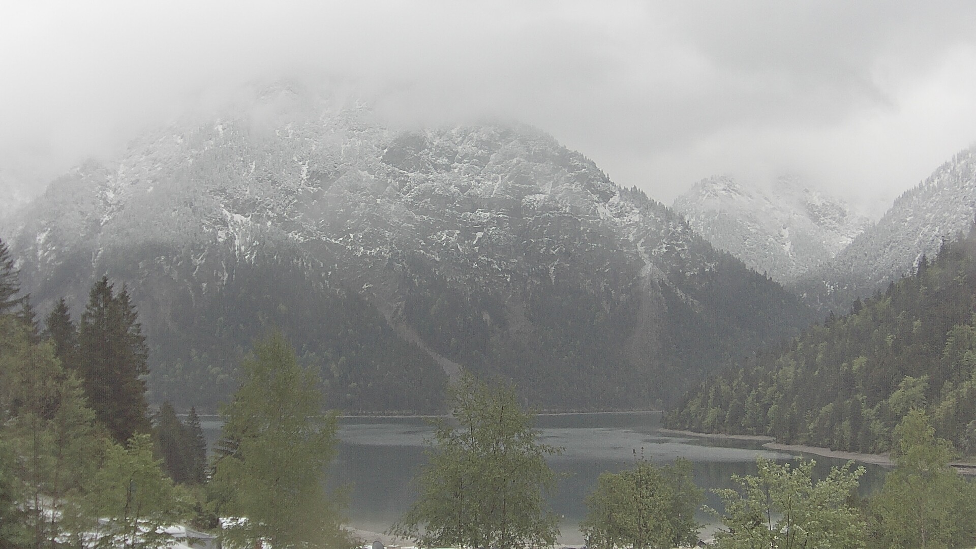 Archiv Foto Webcam Plansee Seespitze