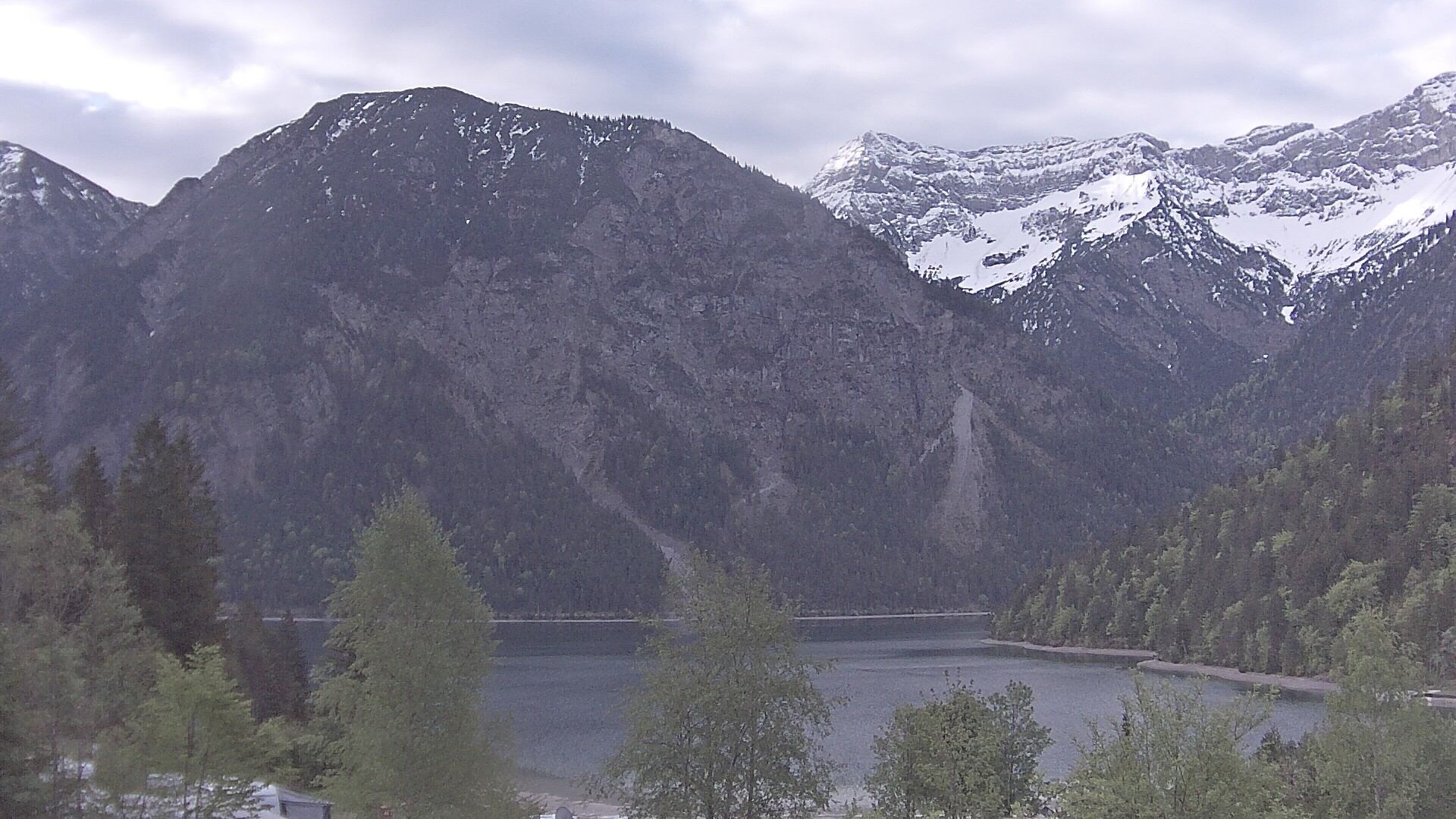 Archiv Foto Webcam Plansee Seespitze