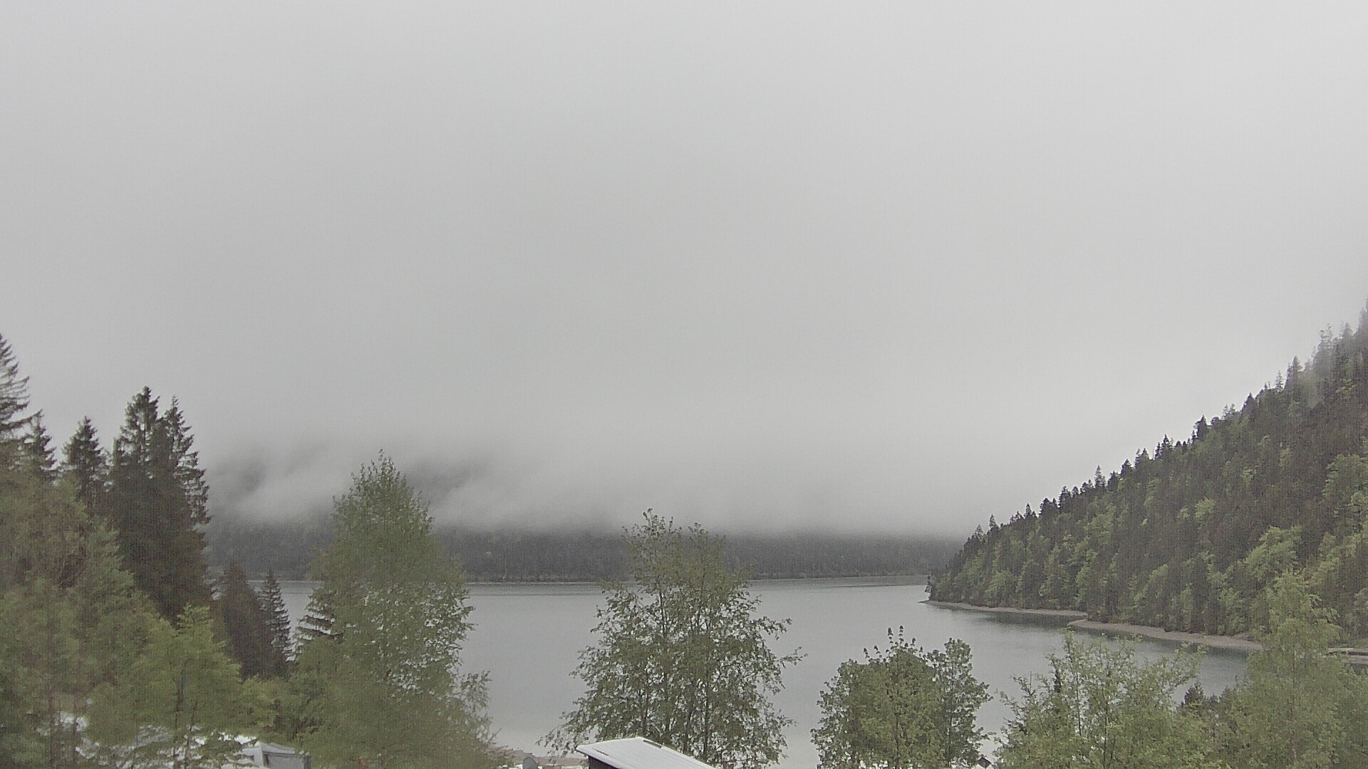 Archiv Foto Webcam Plansee Seespitze